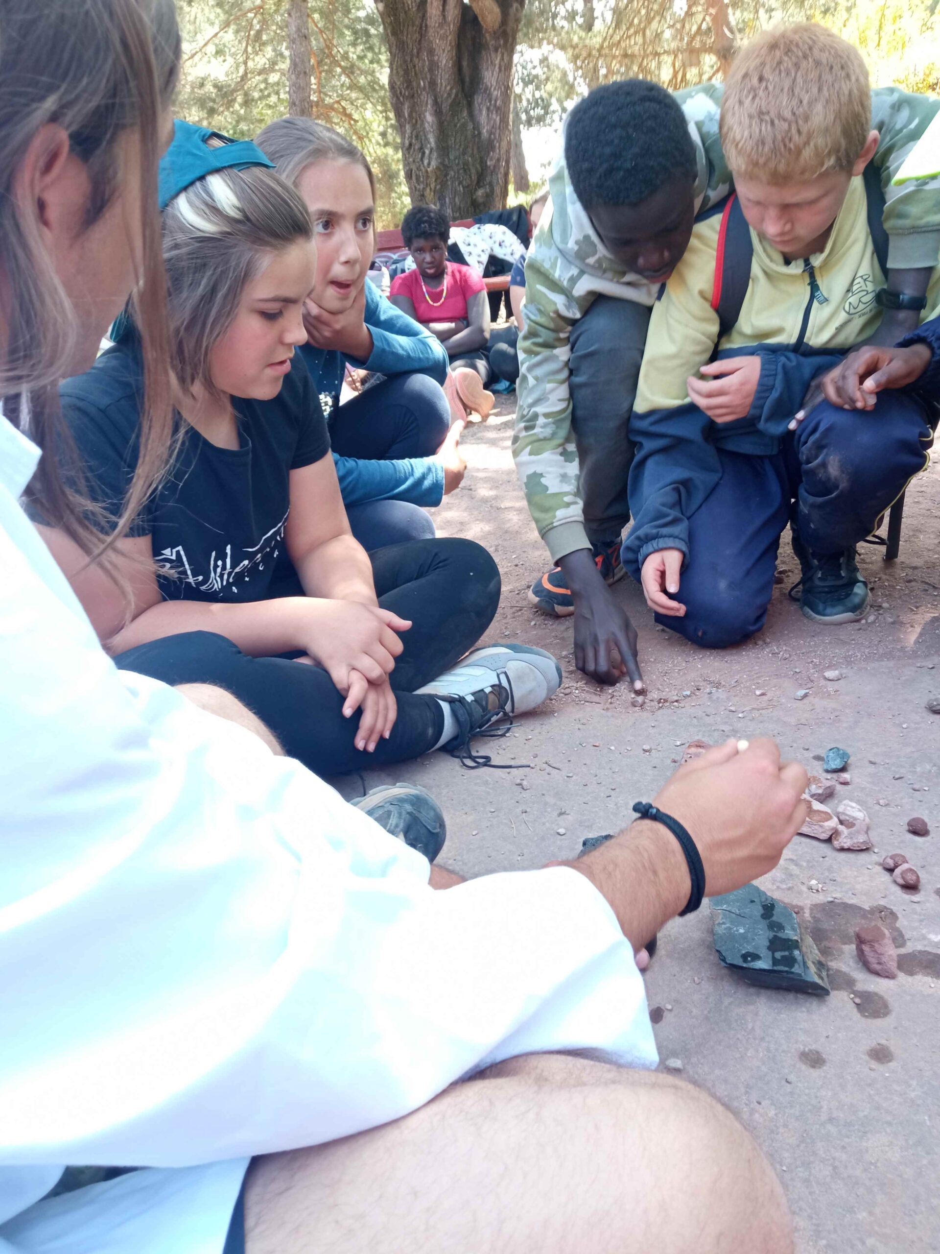 1684333751274 (Copy)