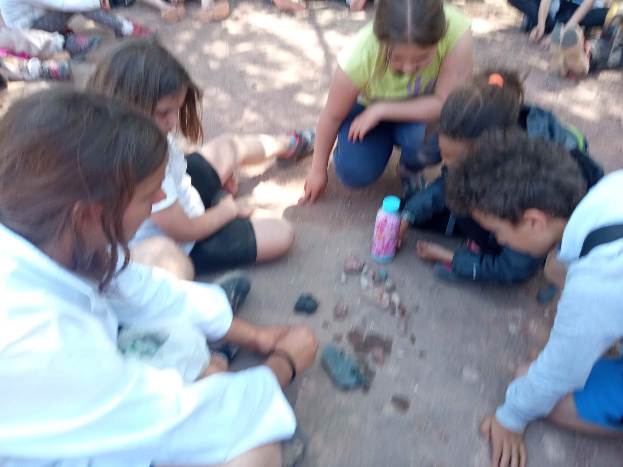 1684333751299 (Copy)