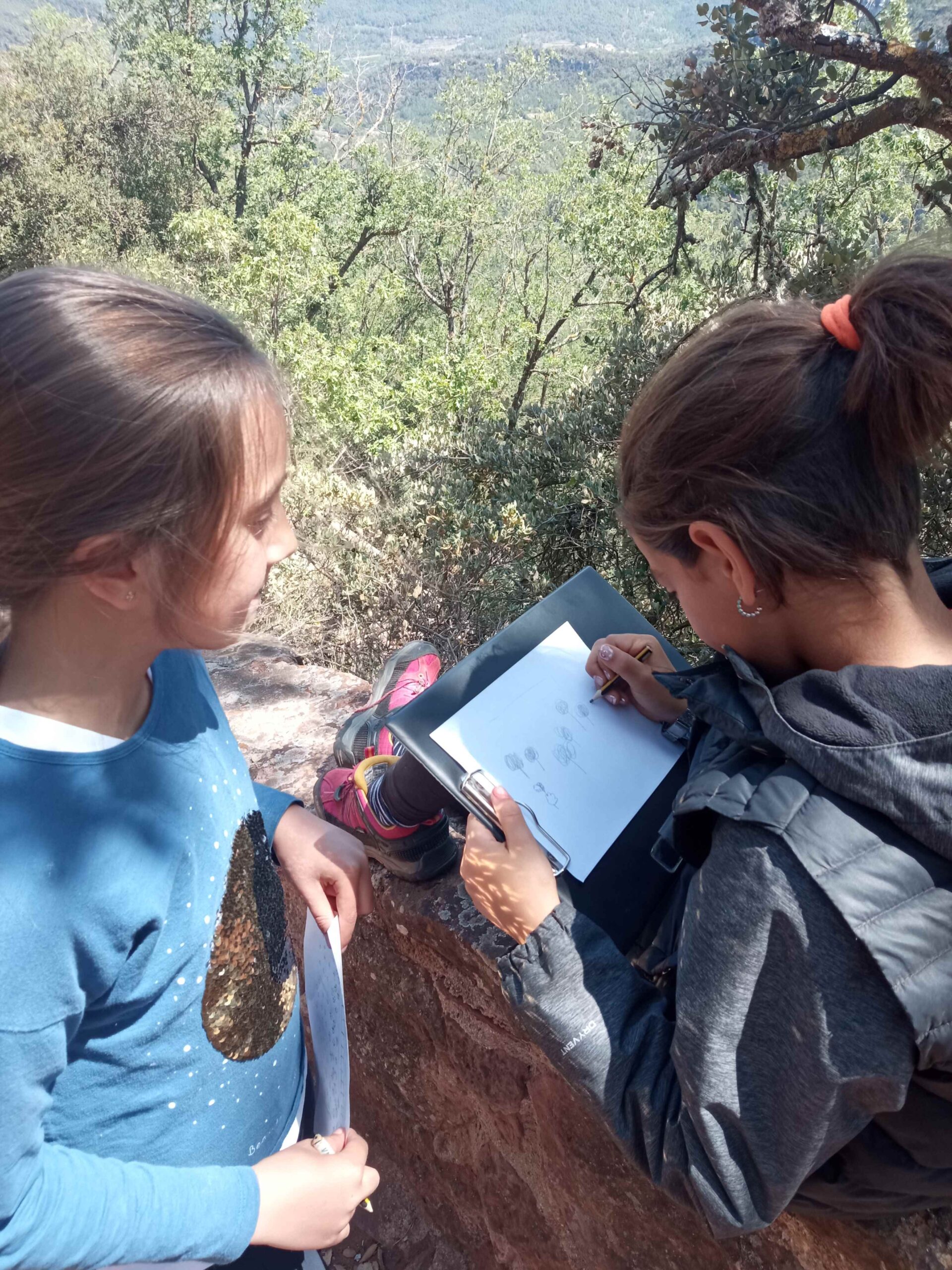 1684333751343 (Copy)