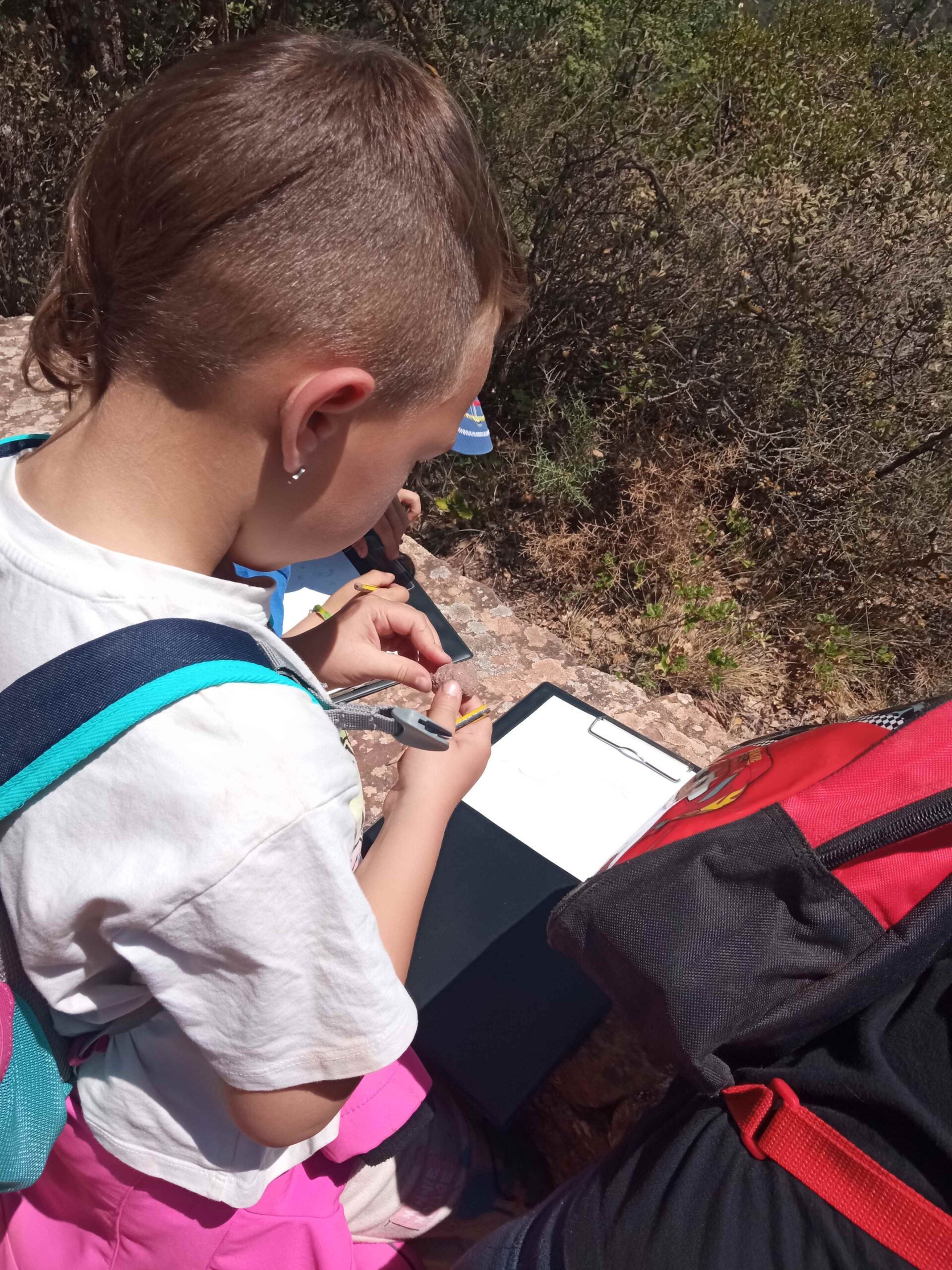 1684333751350 (Copy)