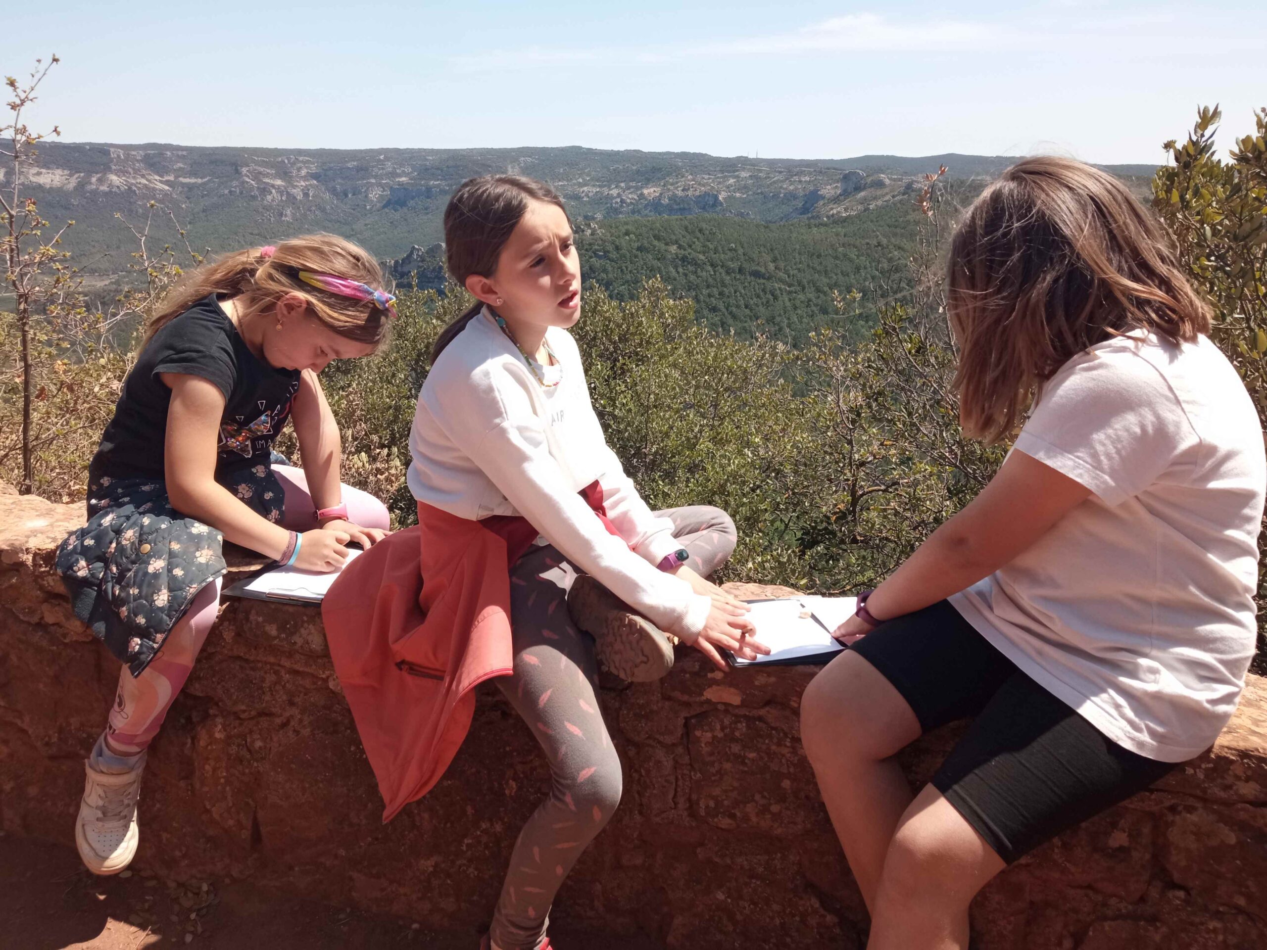 1684333751391 (Copy)