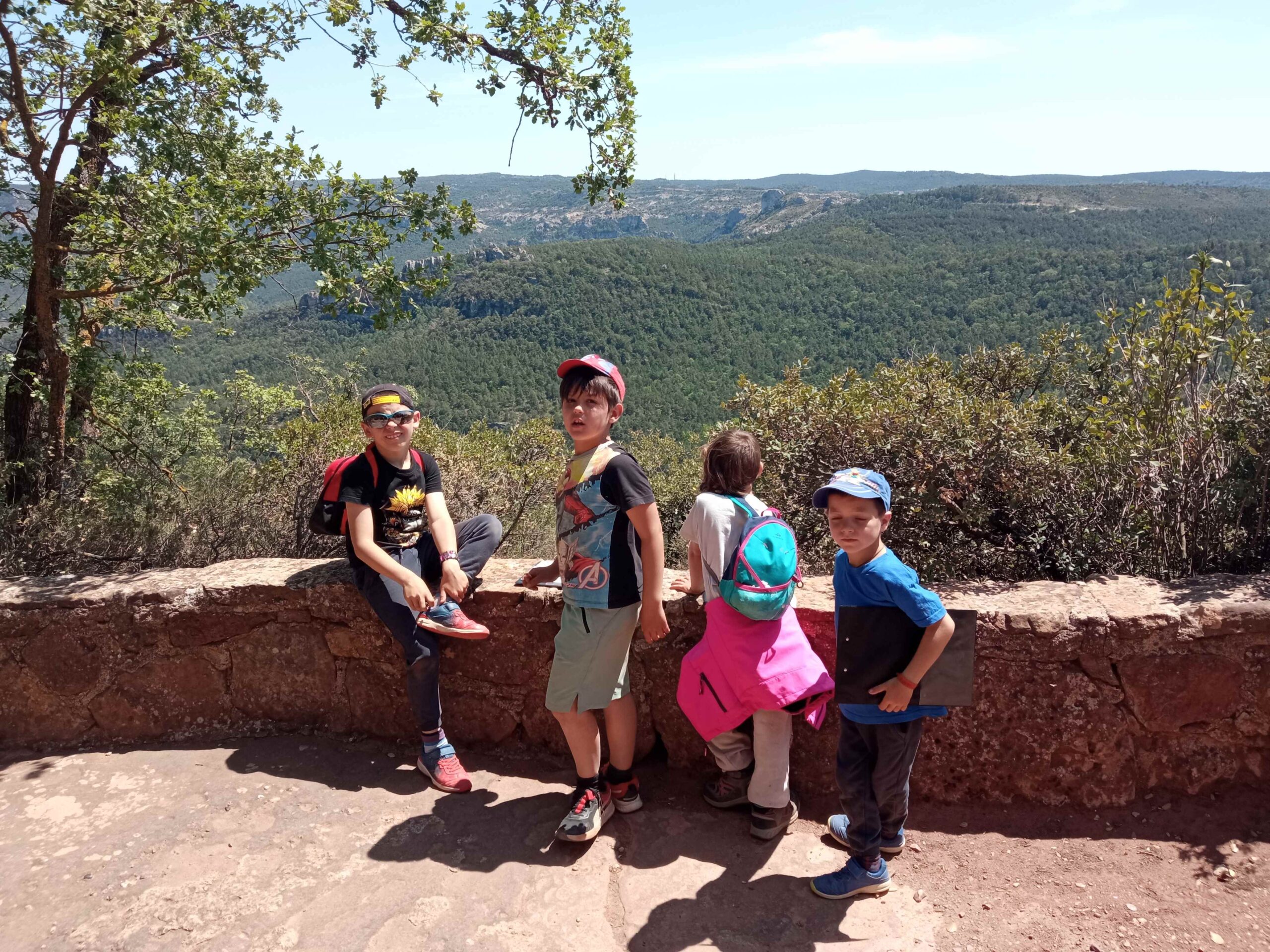 1684333751408 (Copy)