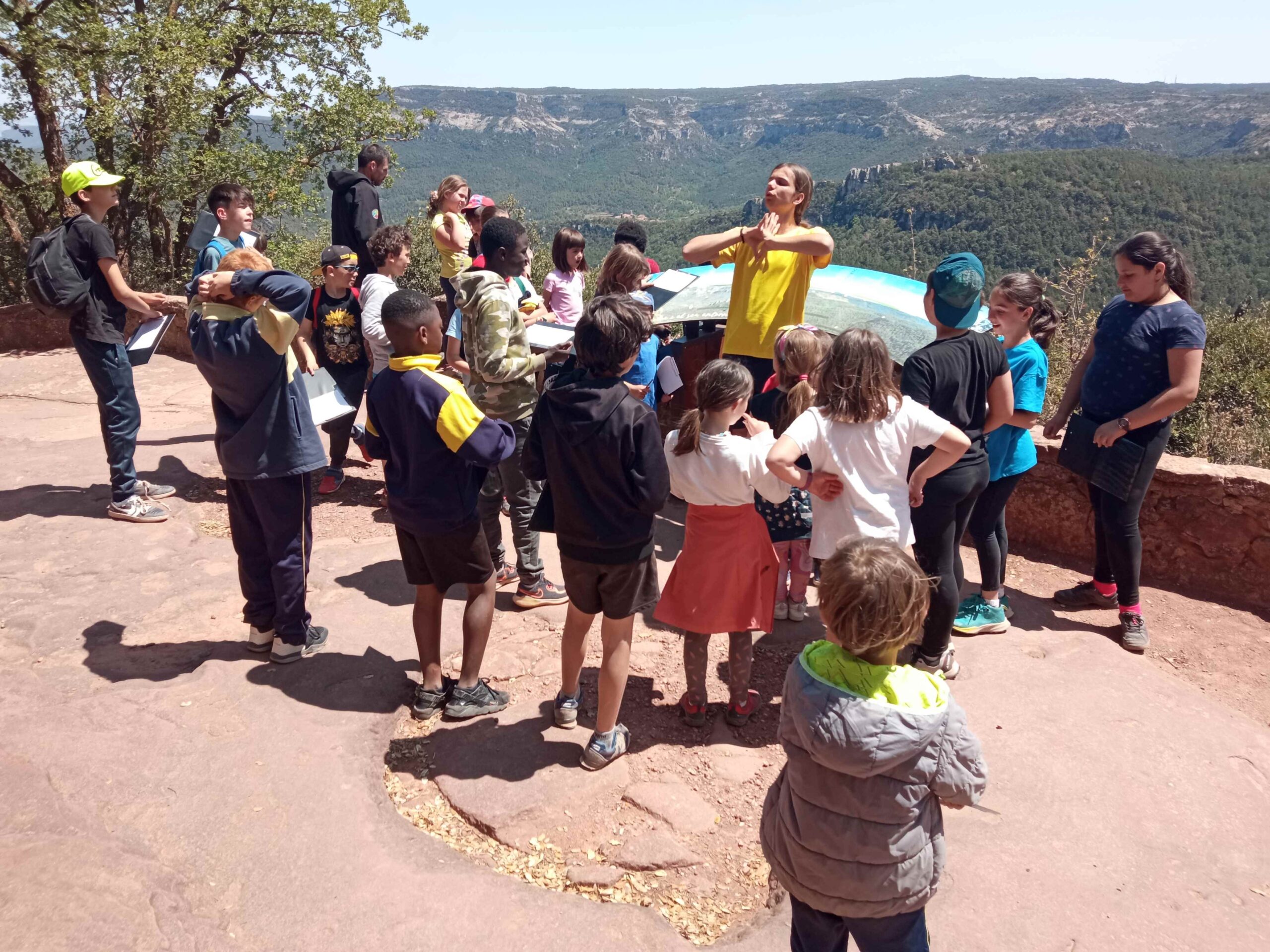 1684333751416 (Copy)