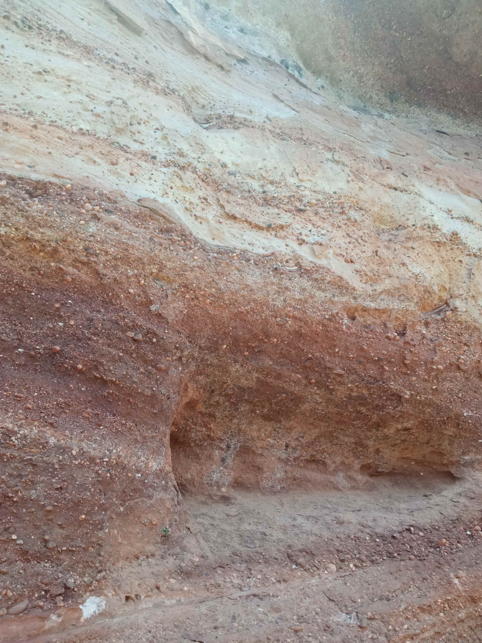 1684333751422 (Copy)