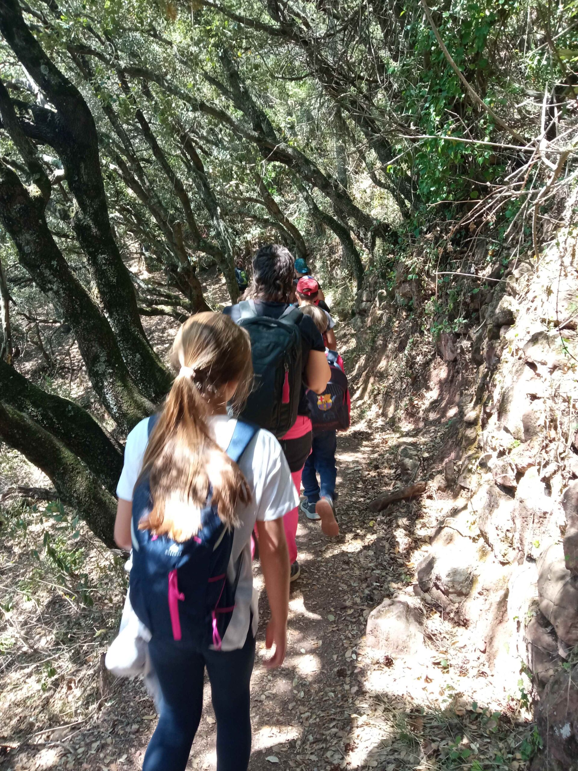 1684333751434 (Copy)