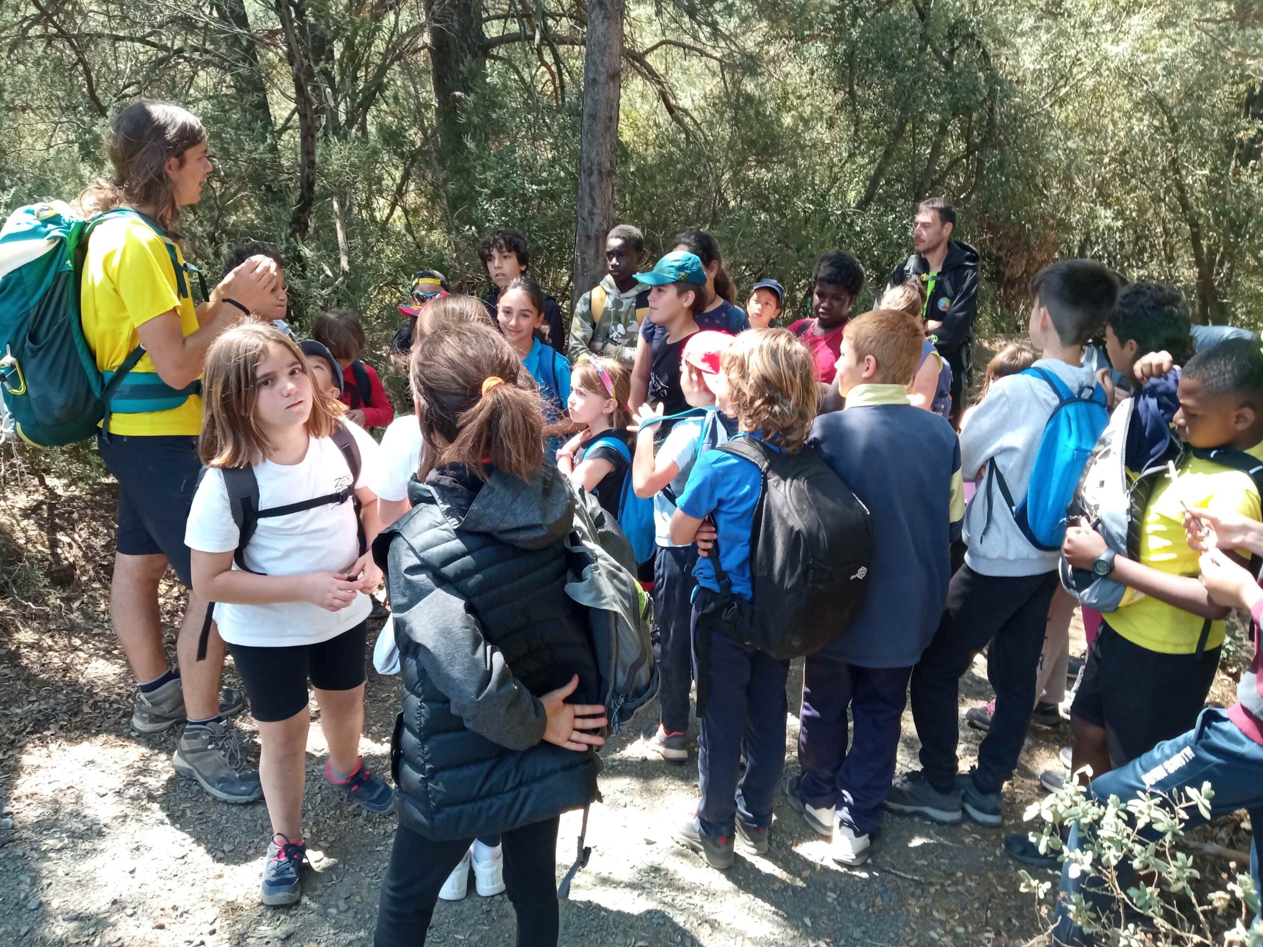 1684333751452 (Copy)