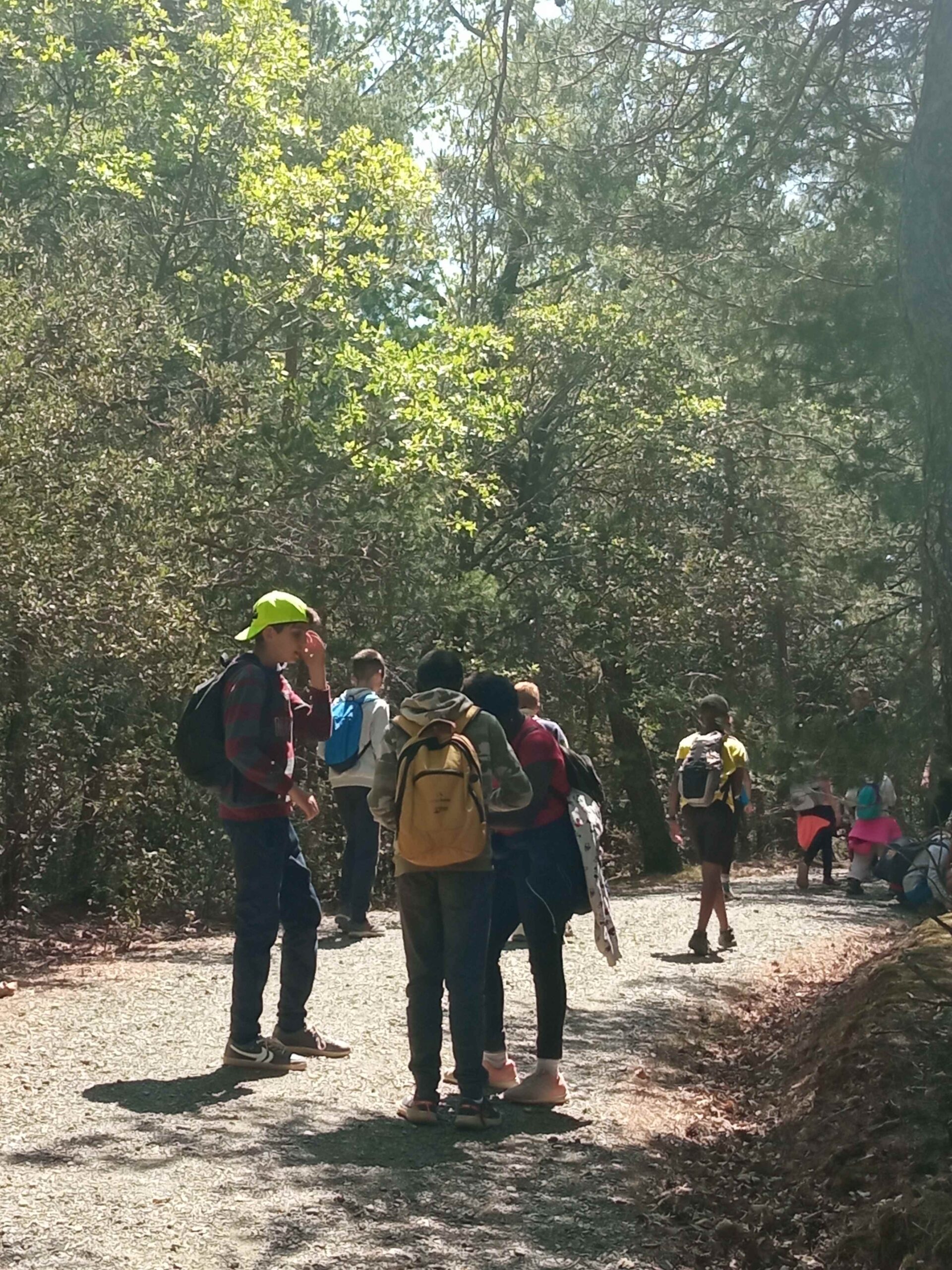 1684333751459 (Copy)