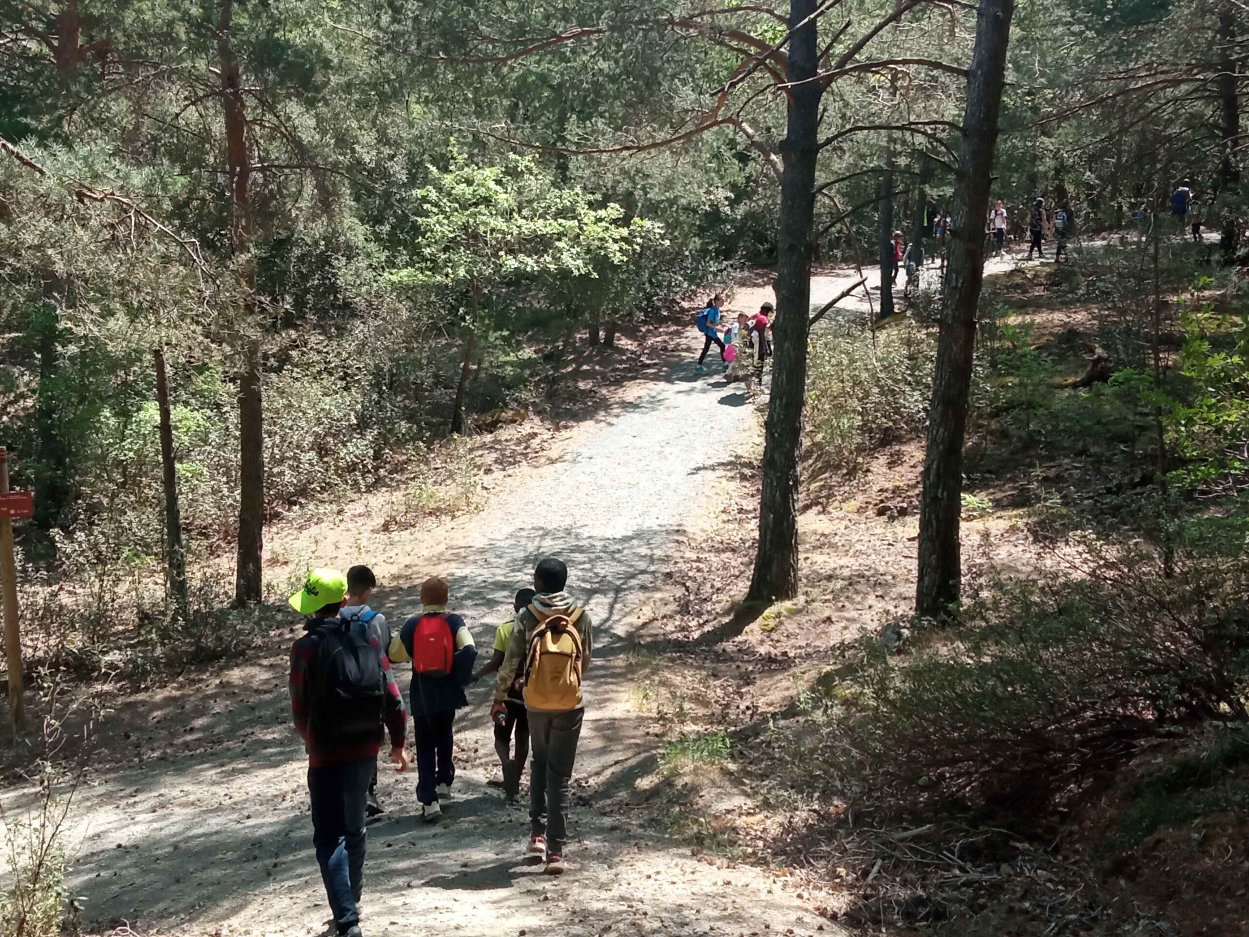 1684333751466 (Copy)