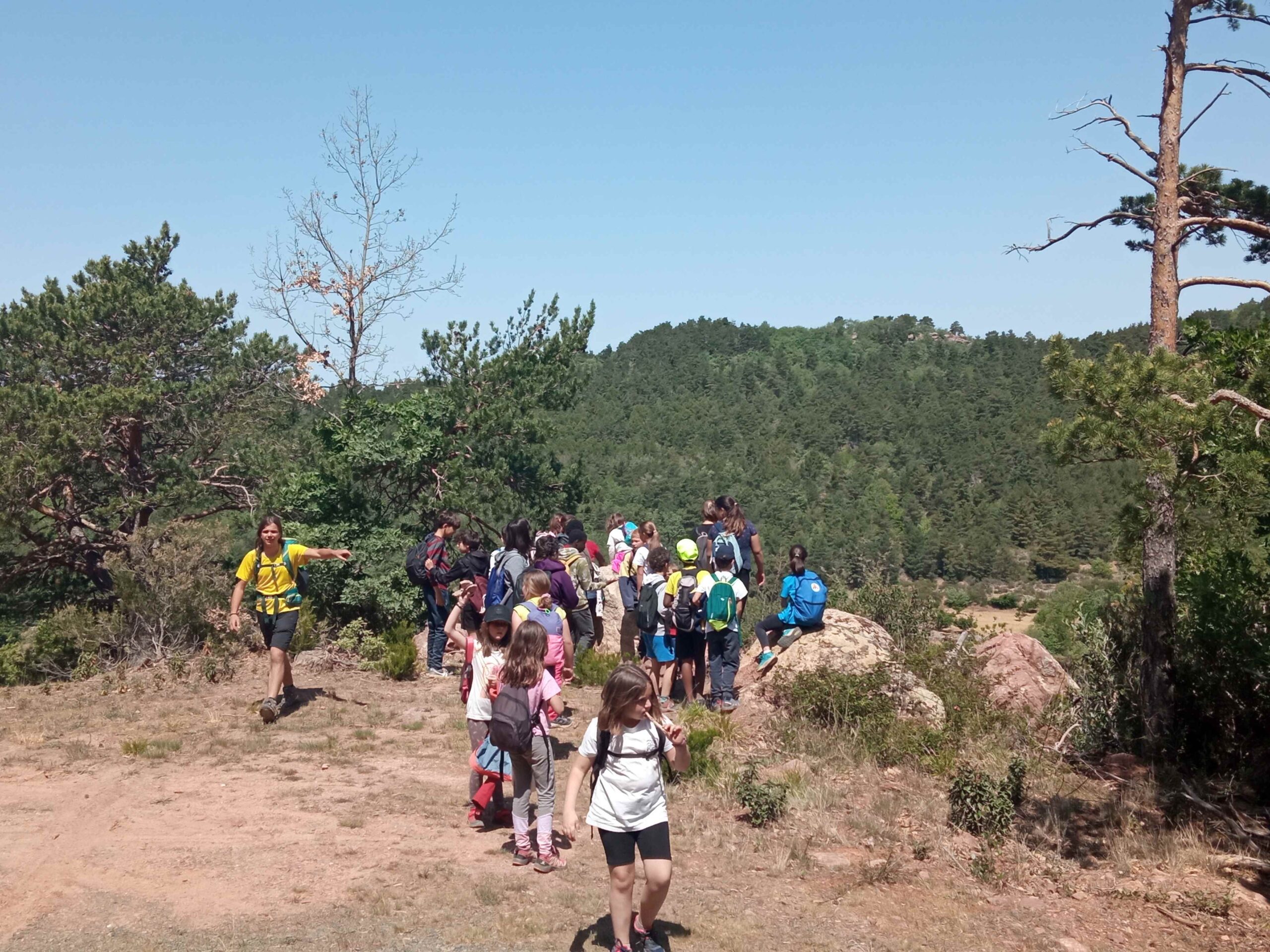 1684333751472 (Copy)