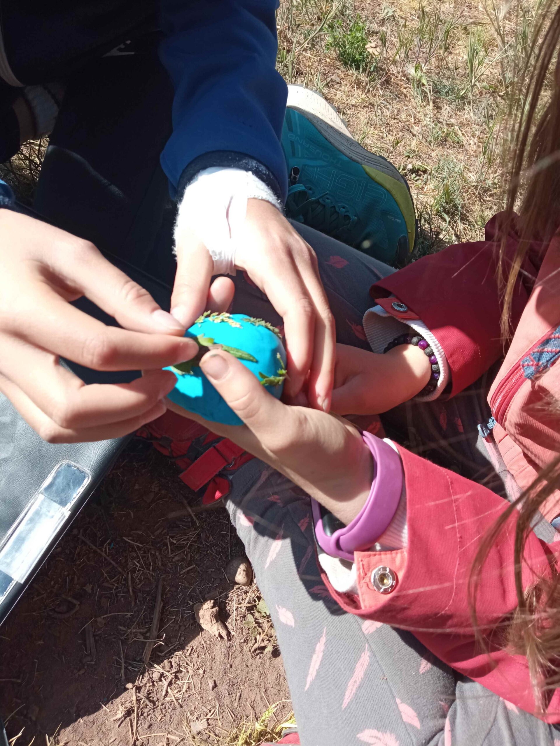 1684333751519 (Copy)