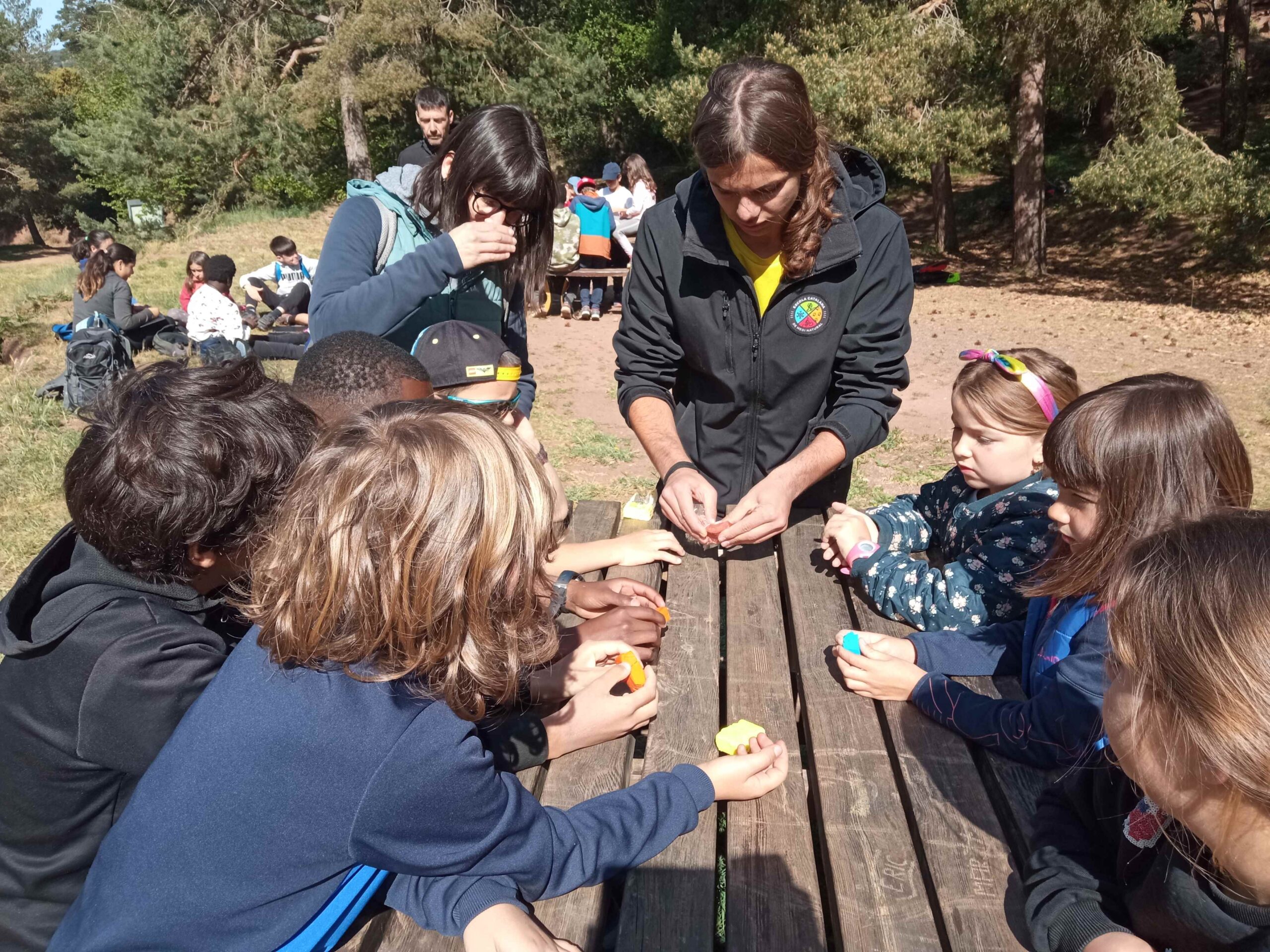 1684333751536 (Copy)