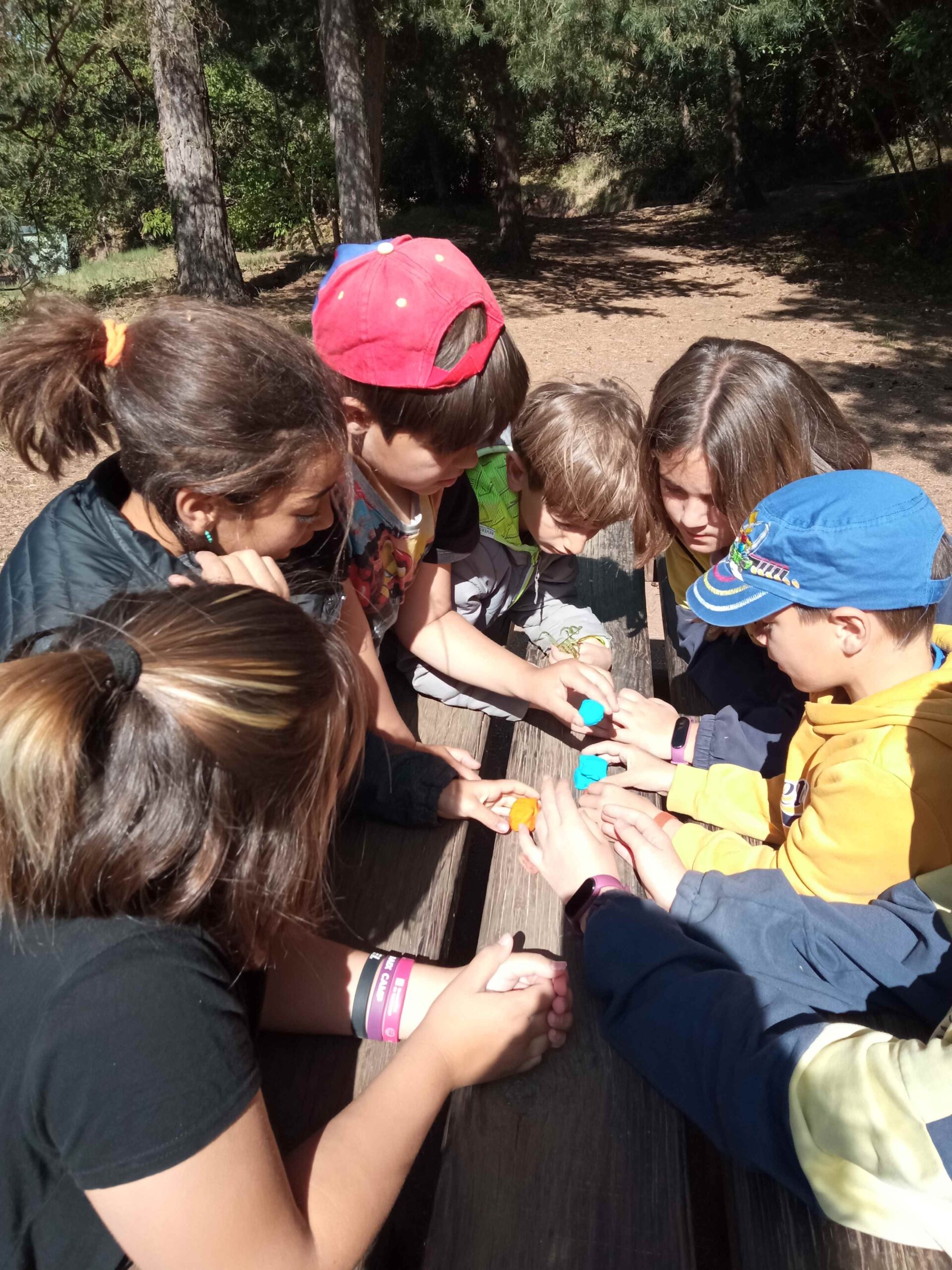 1684333751549 (Copy)