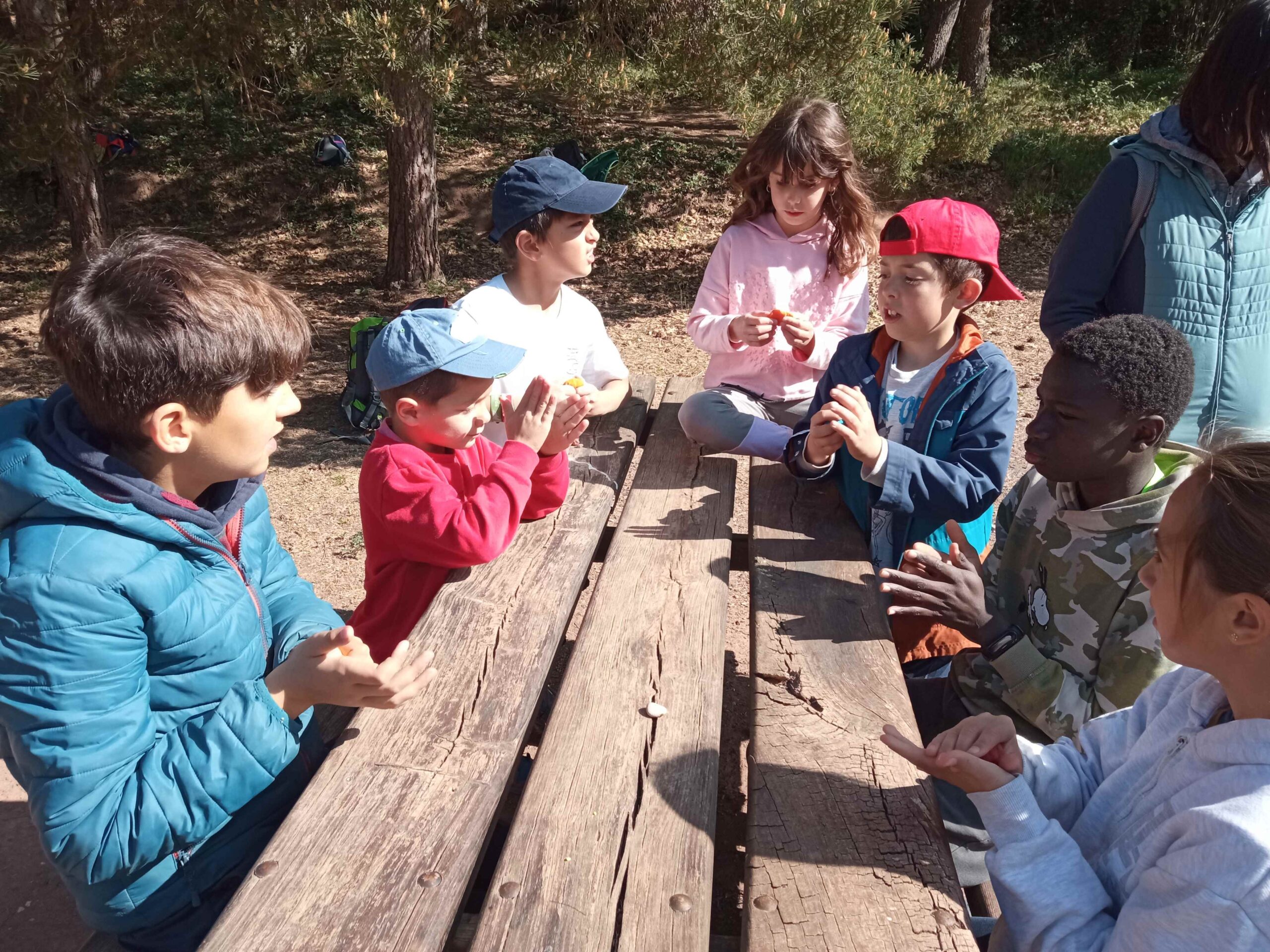 1684333751554 (Copy)