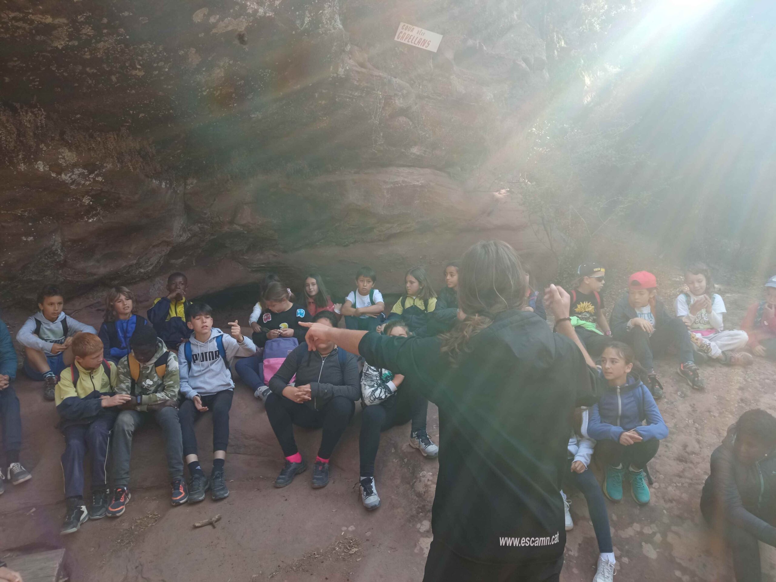 1684333751566 (Copy)