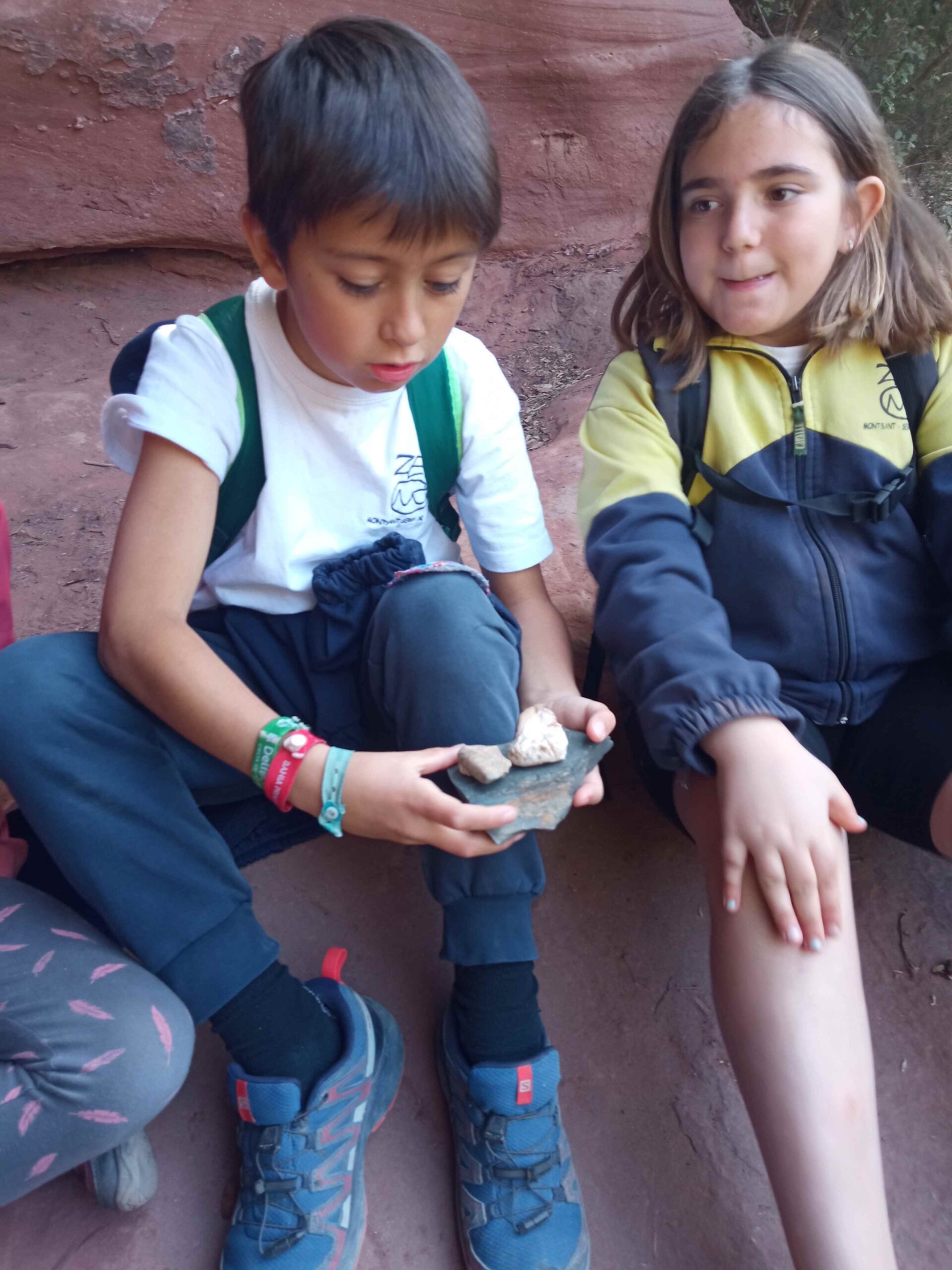 1684333751577 (Copy)