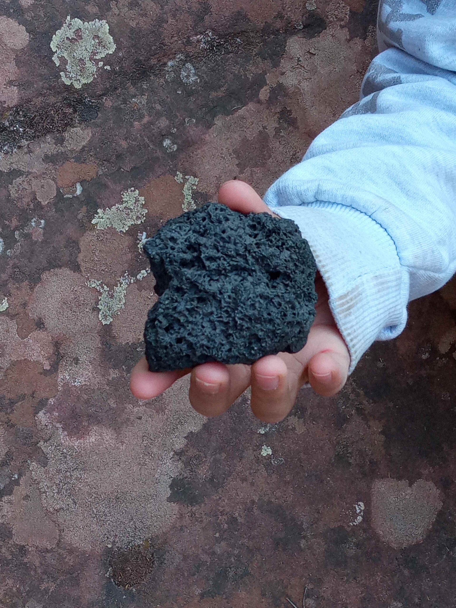 1684333751594 (Copy)