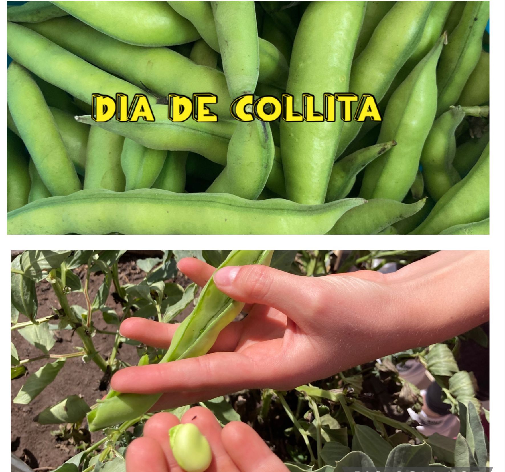 PHOTO-2023-05-02-17-51-13