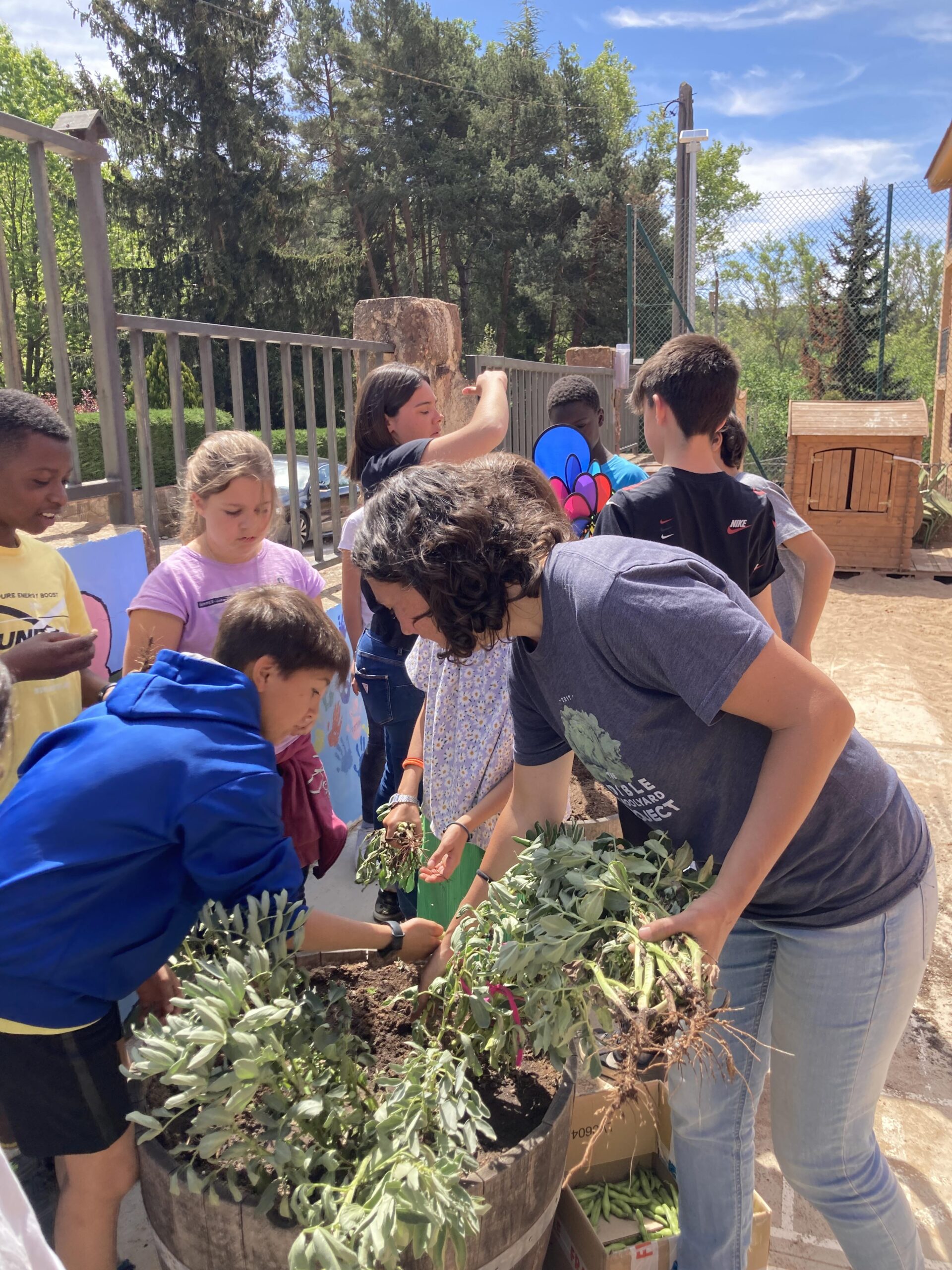 sembrem escoles (18) (Copy)