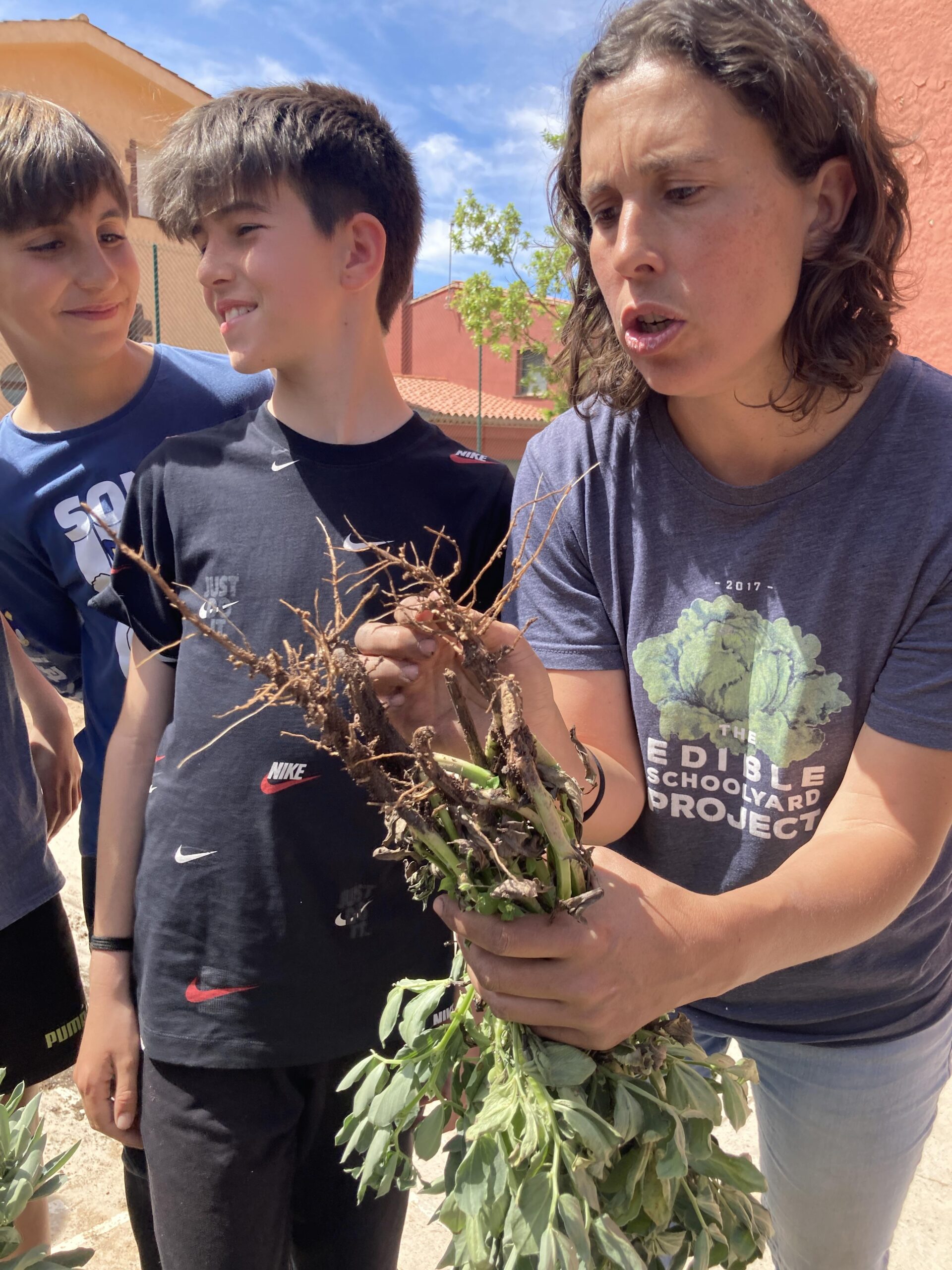 sembrem escoles (19) (Copy)