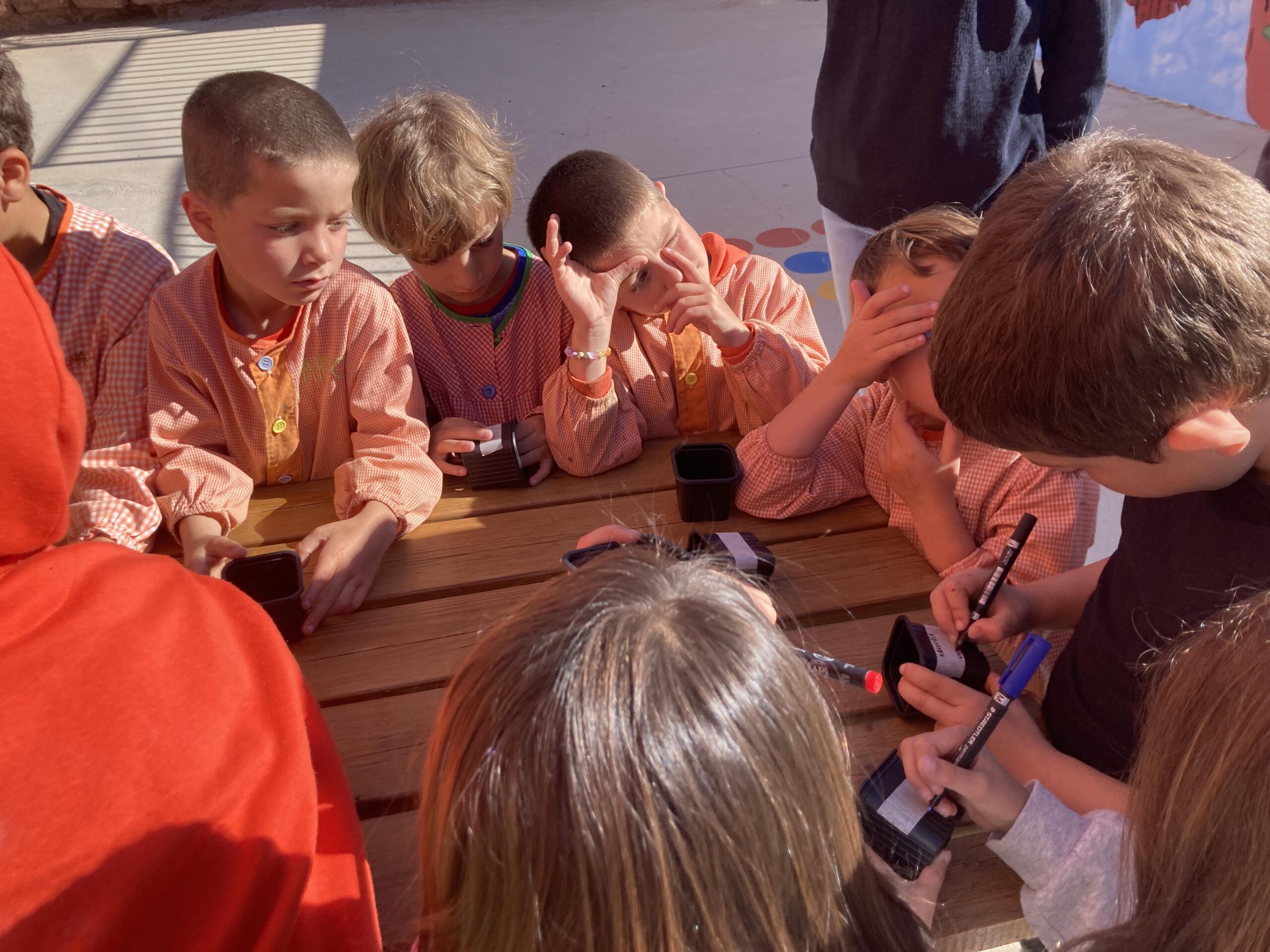 sembrem escoles (24) (Copy)