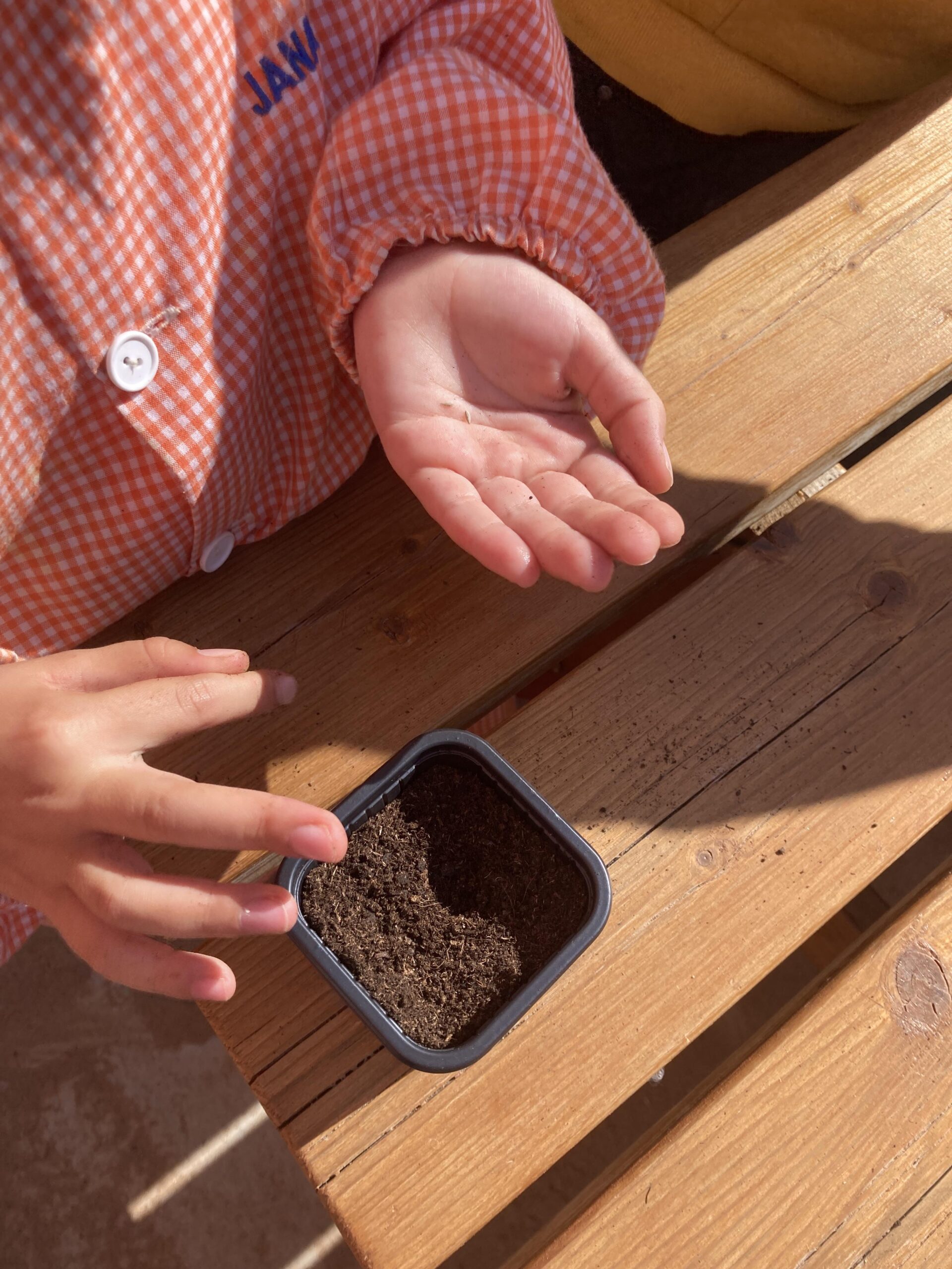 sembrem escoles (27) (Copy)