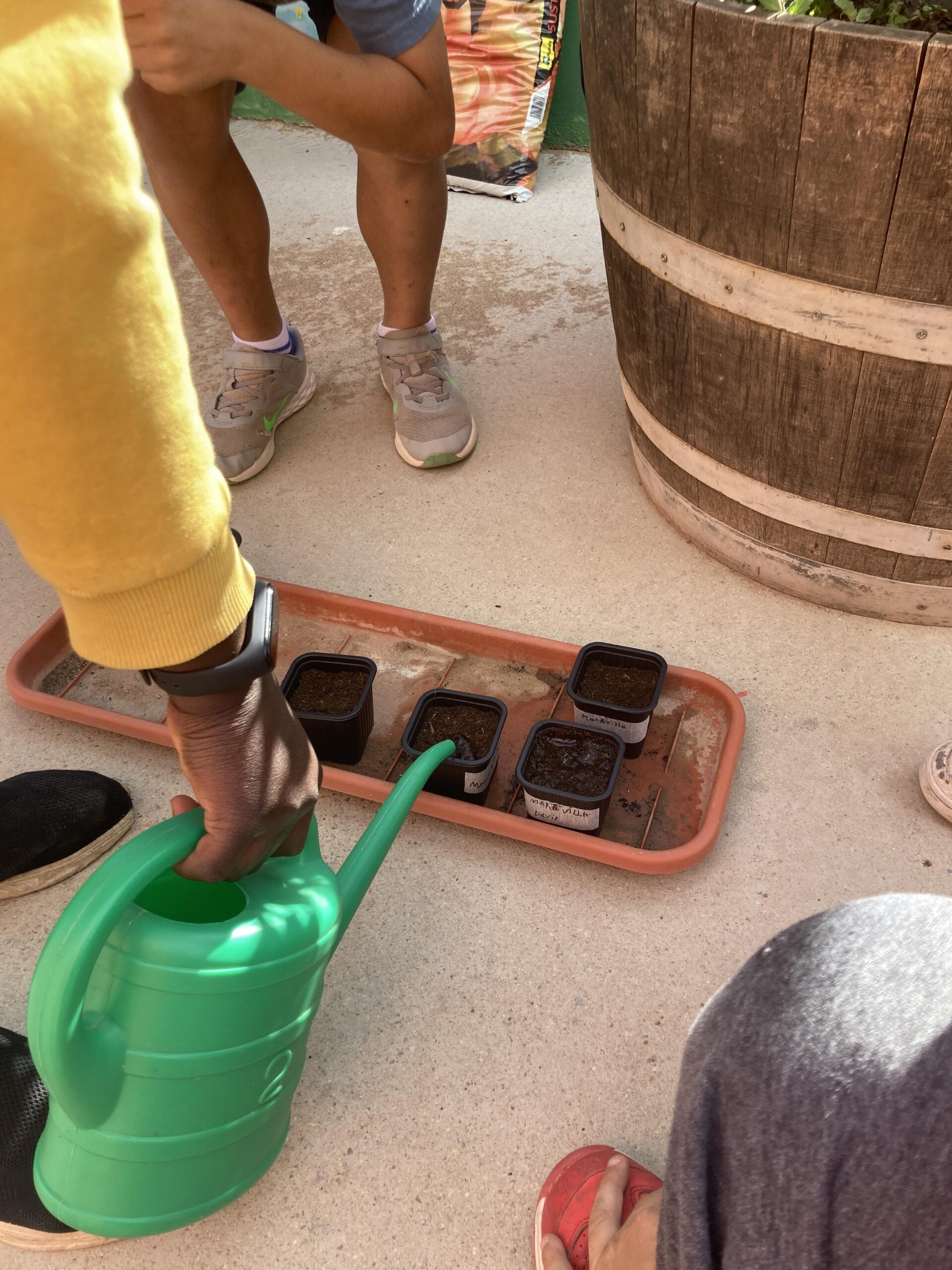 sembrem escoles (30) (Copy)