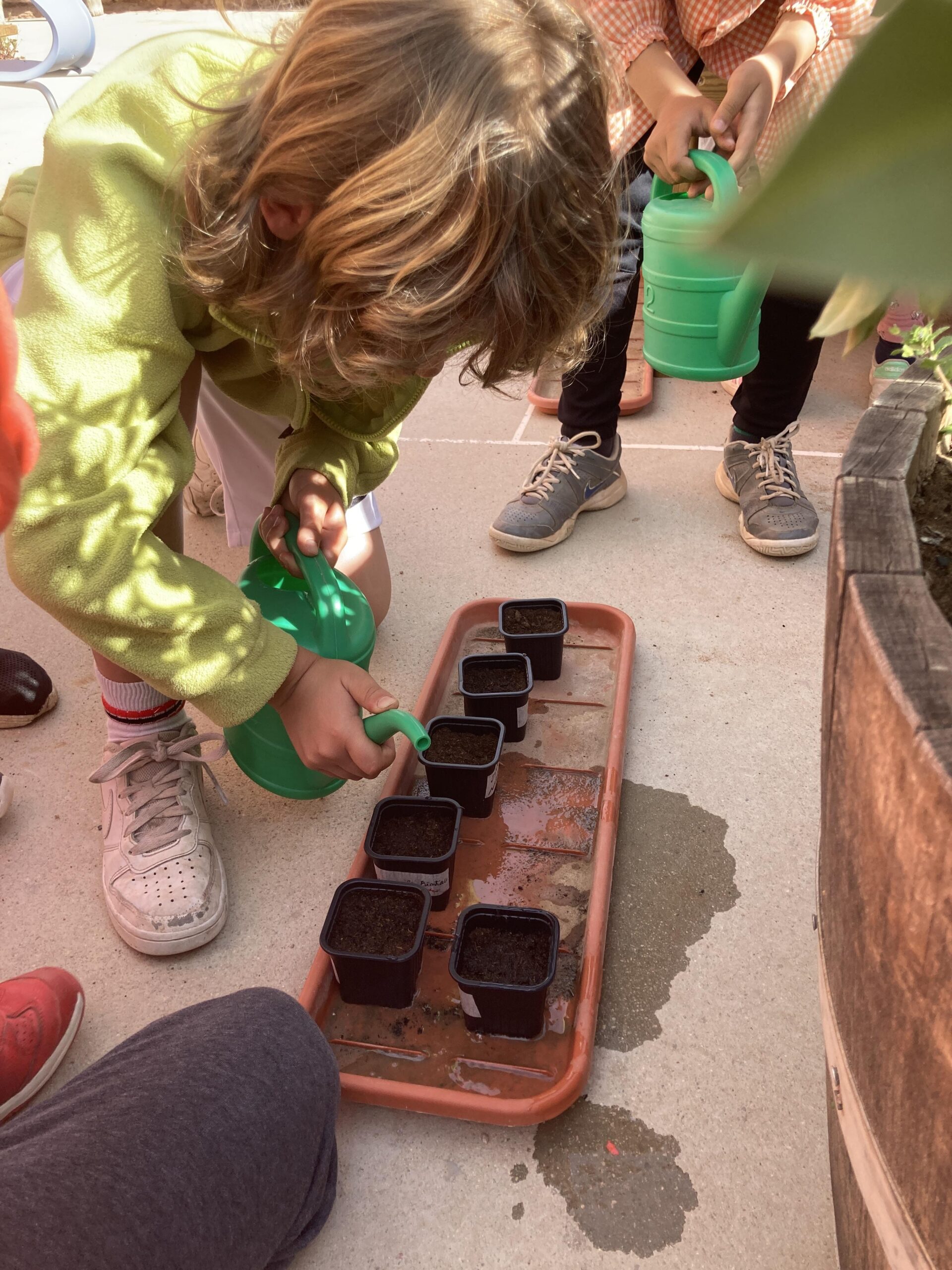 sembrem escoles (31) (Copy)