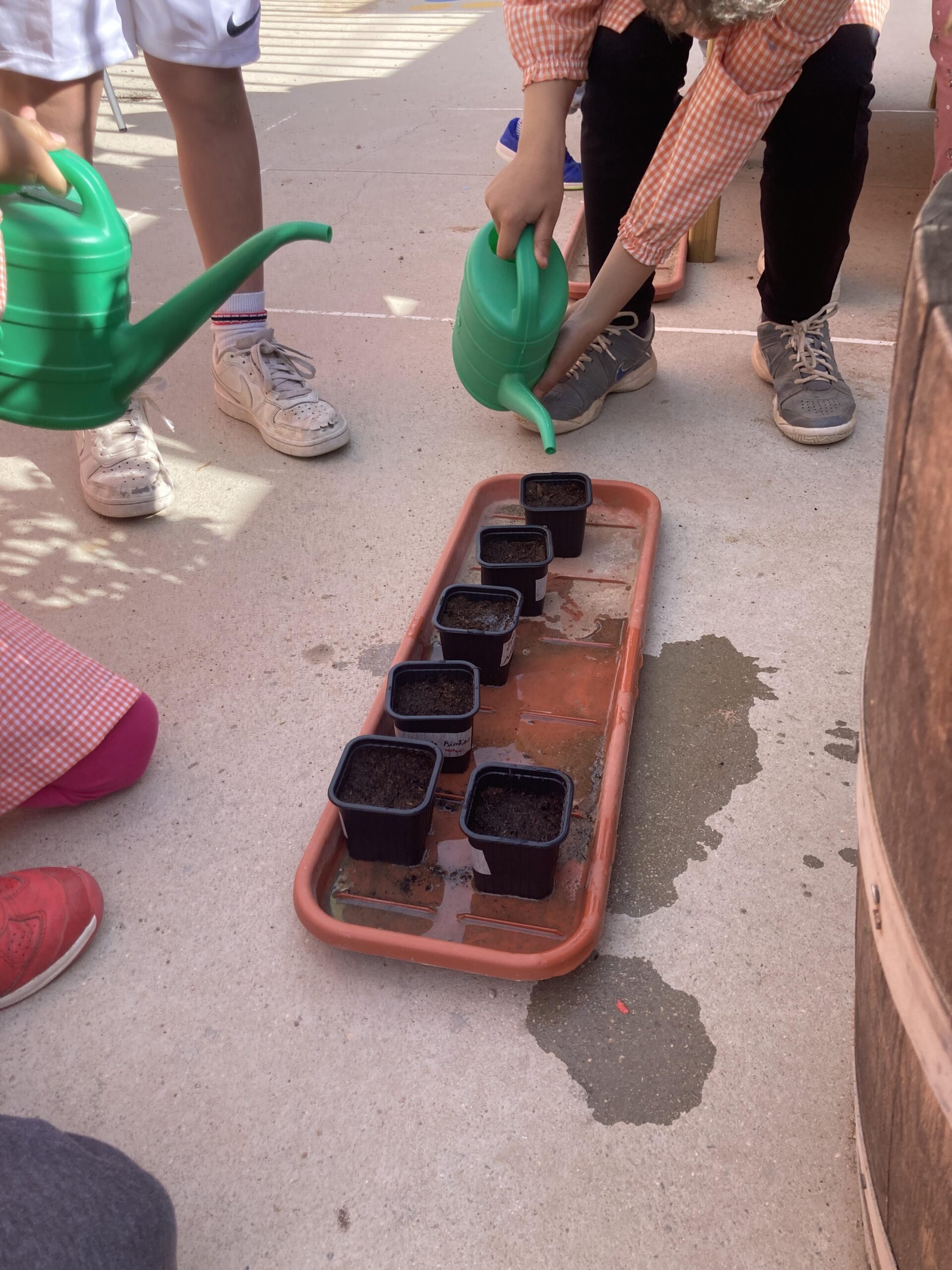 sembrem escoles (32) (Copy)