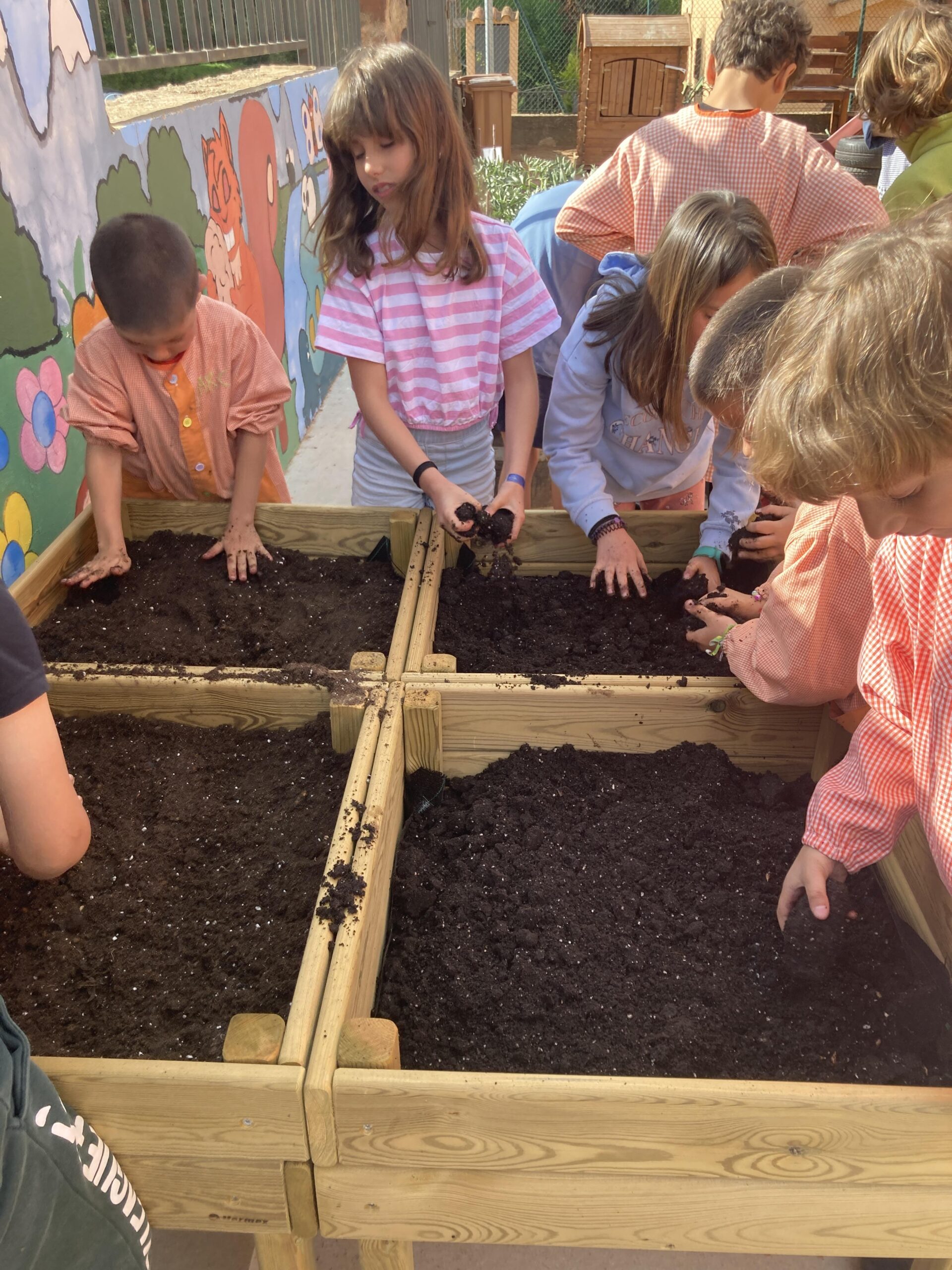 sembrem escoles (34) (Copy)