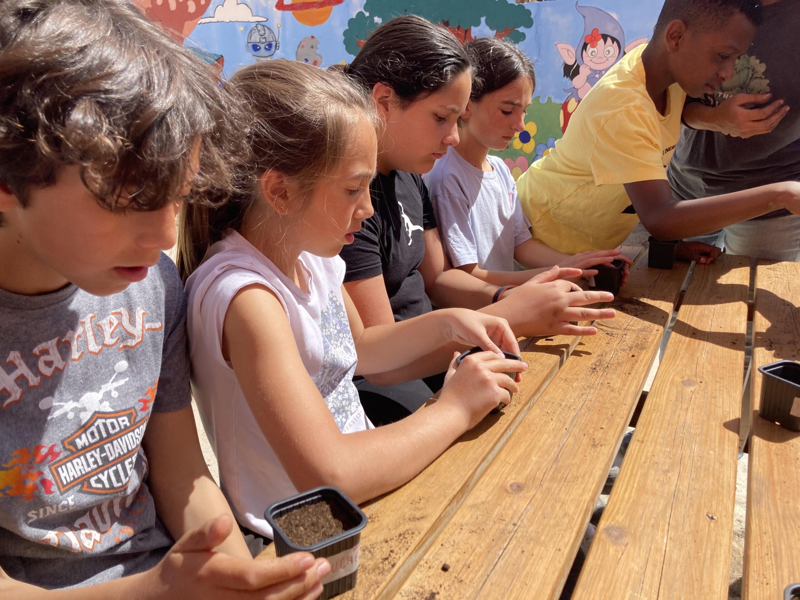 sembrem escoles (4) (Copy)