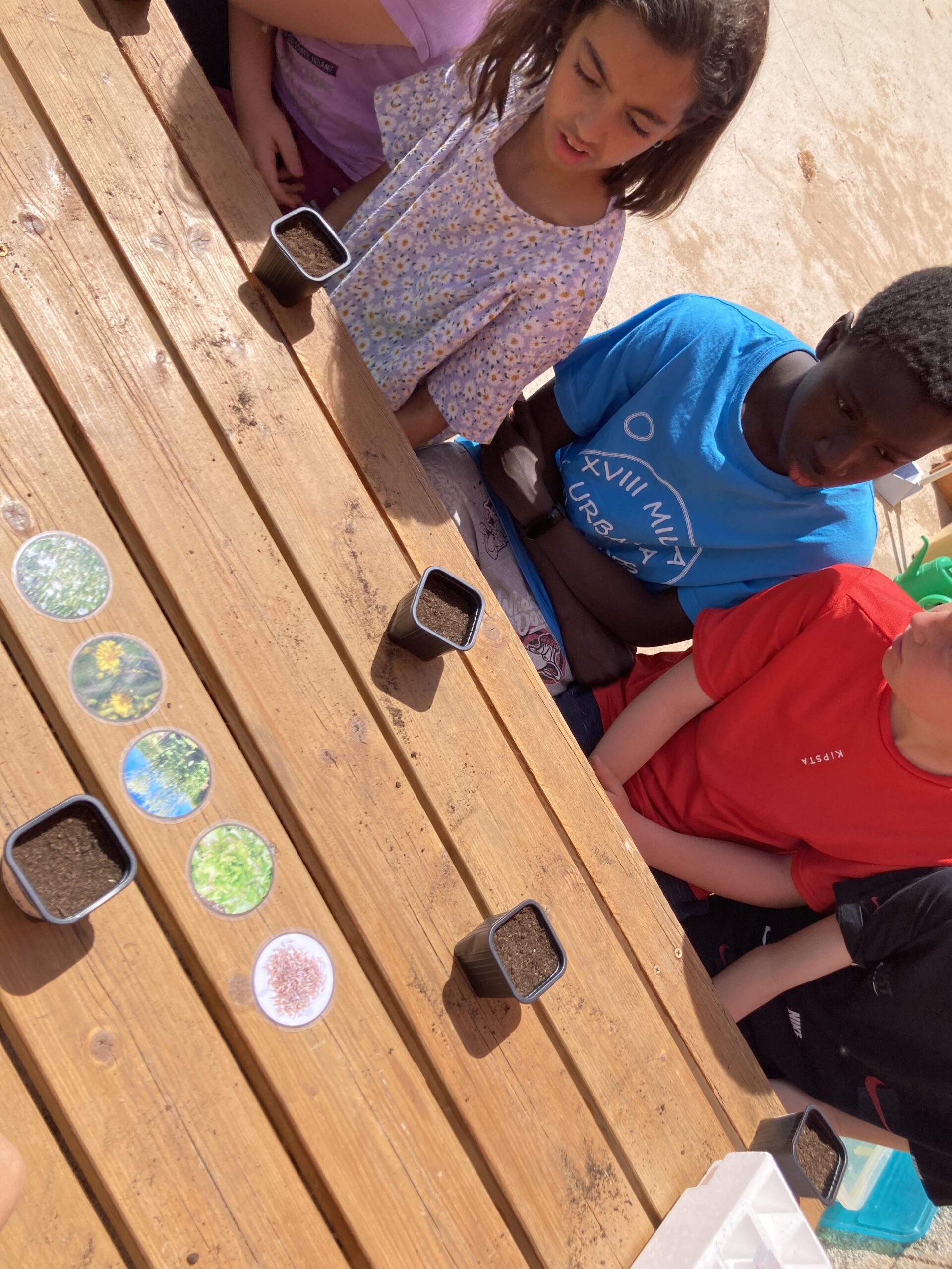 sembrem escoles (5) (Copy)