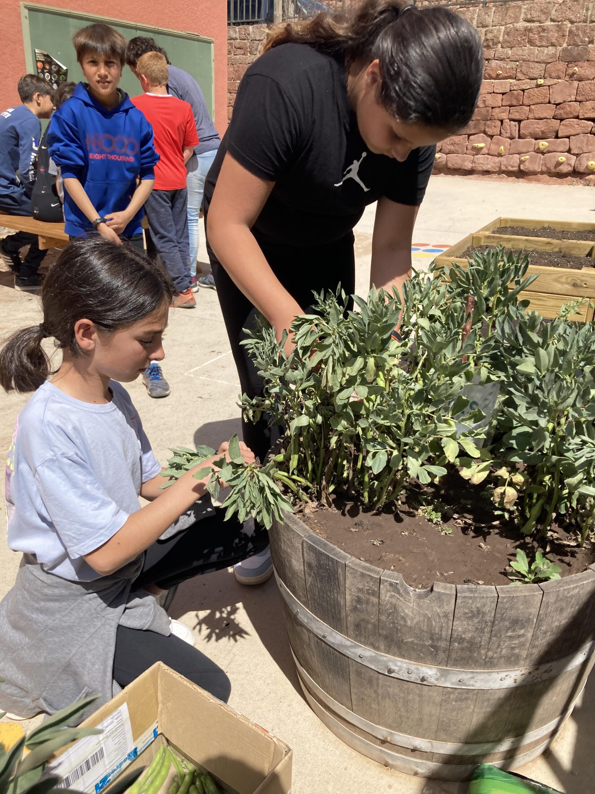 sembrem escoles (7) (Copy)