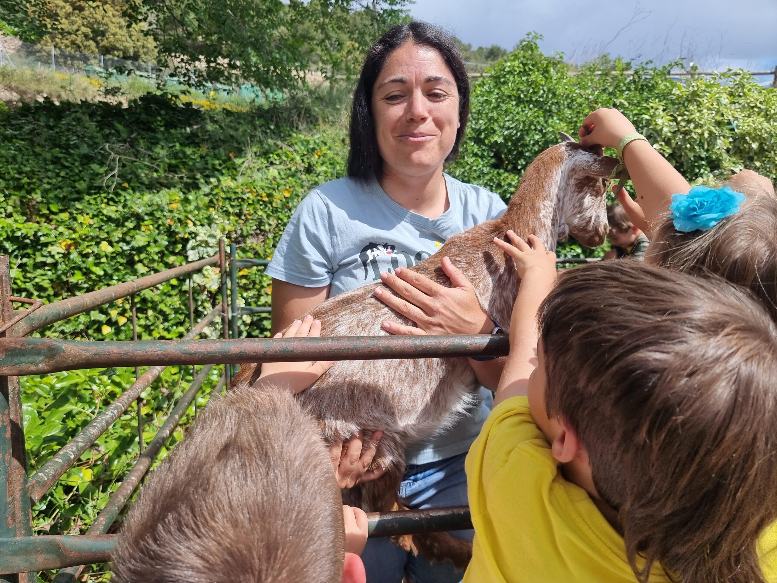 CAPAFONTS FORMATGE (13)