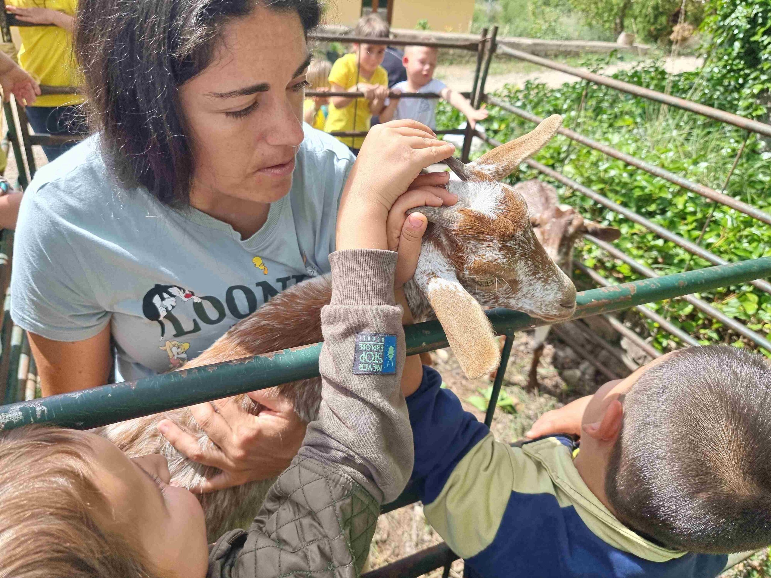 CAPAFONTS FORMATGE (17)