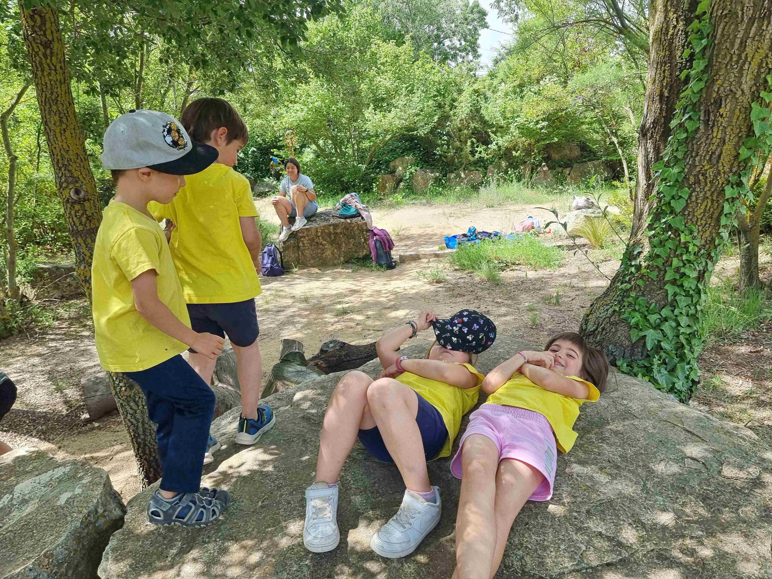 CAPAFONTS FORMATGE (19)