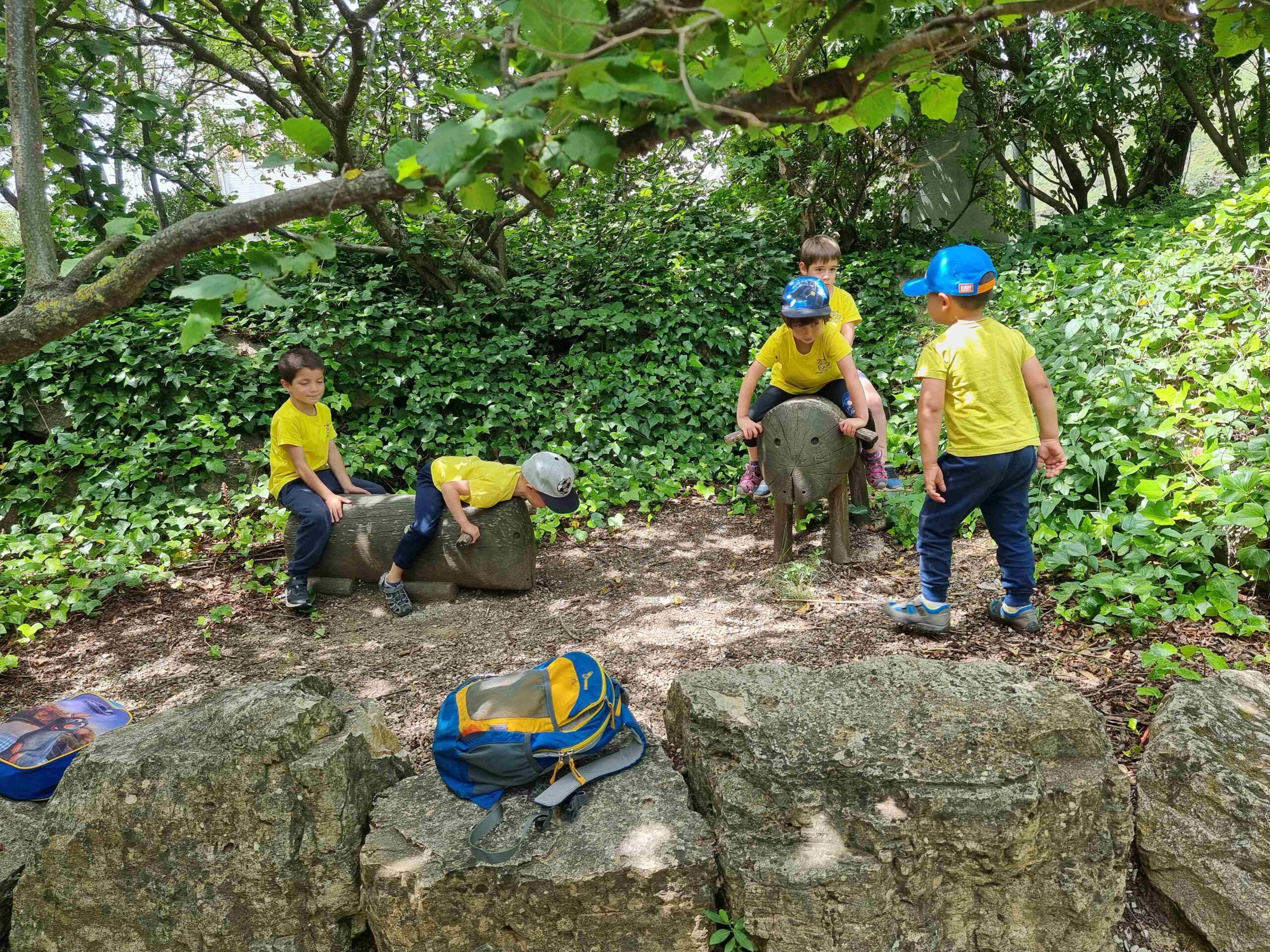 CAPAFONTS FORMATGE (20)