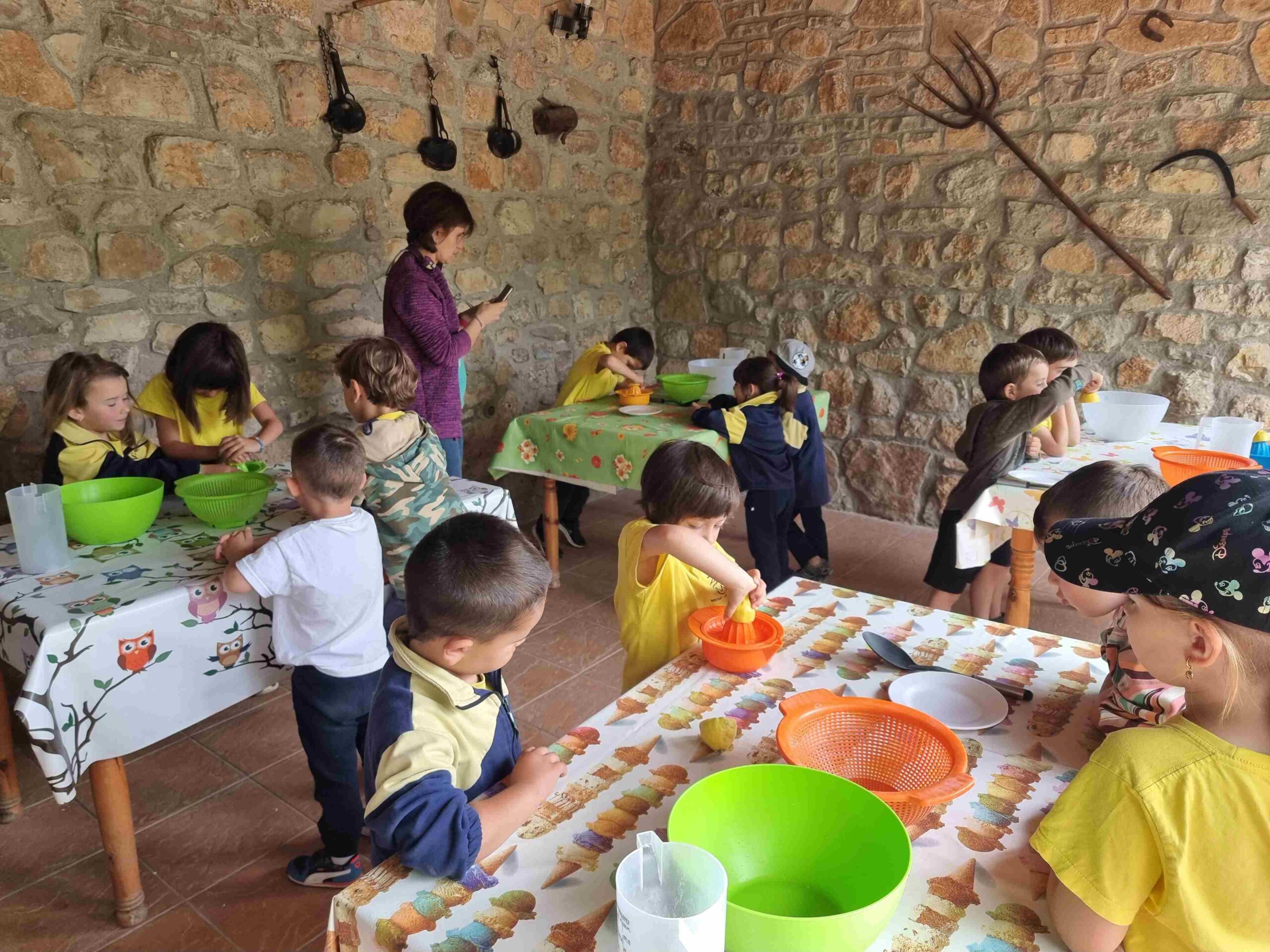 CAPAFONTS FORMATGE (27)