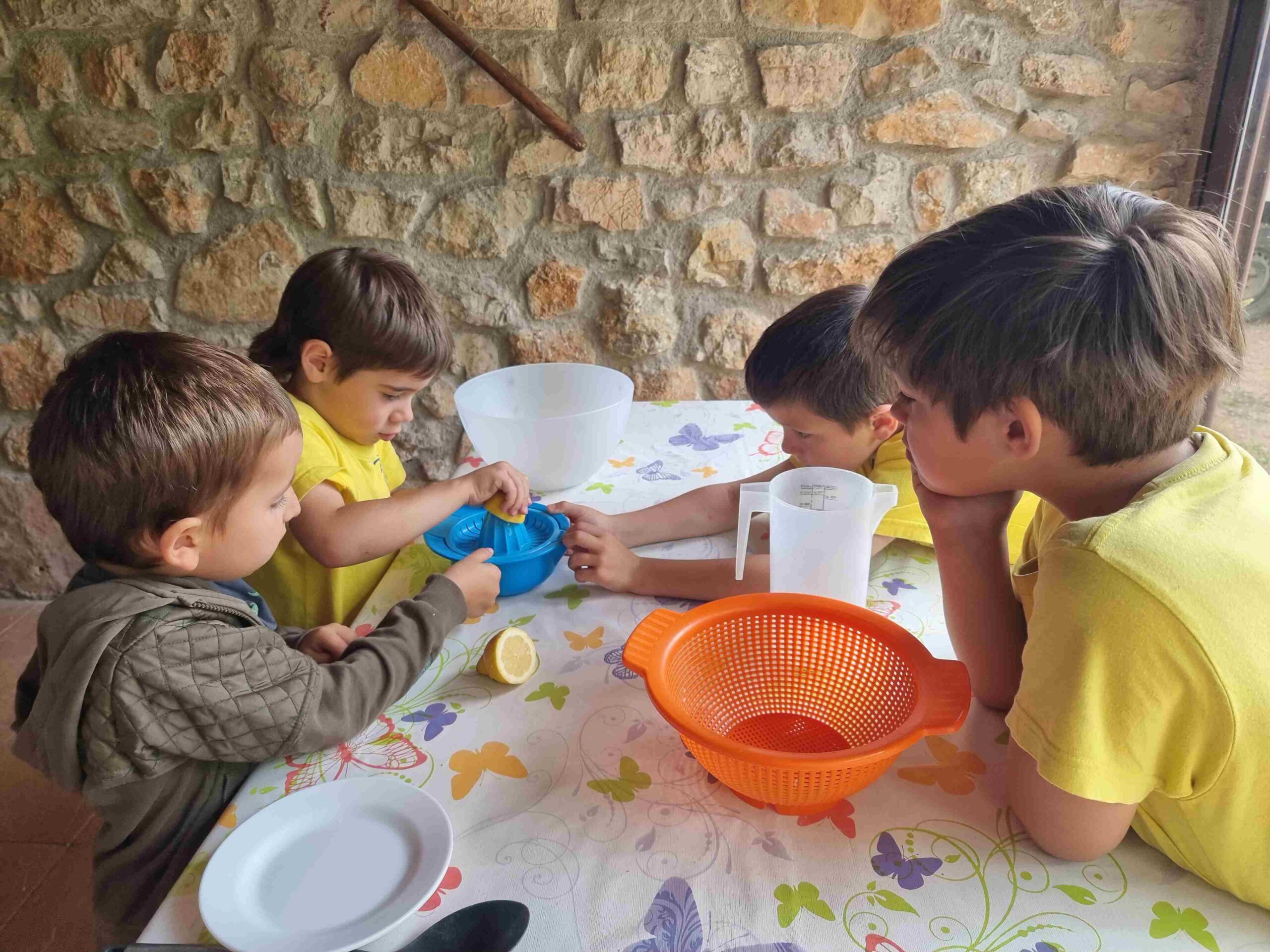 CAPAFONTS FORMATGE (28)