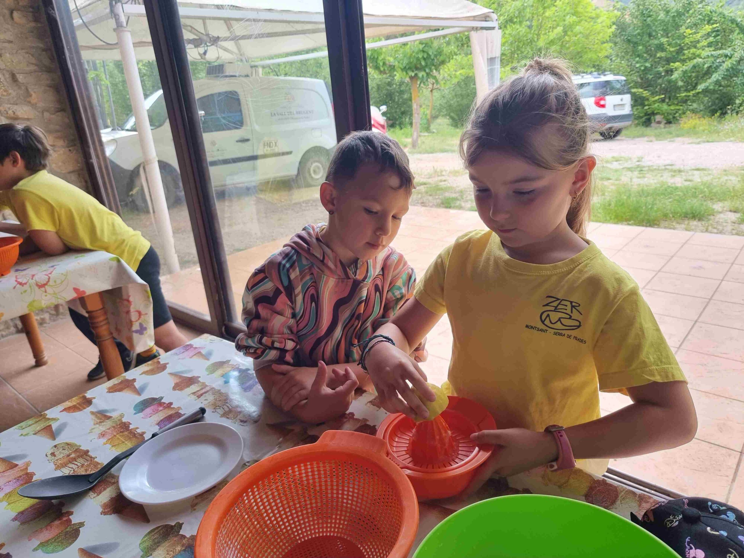 CAPAFONTS FORMATGE (30)