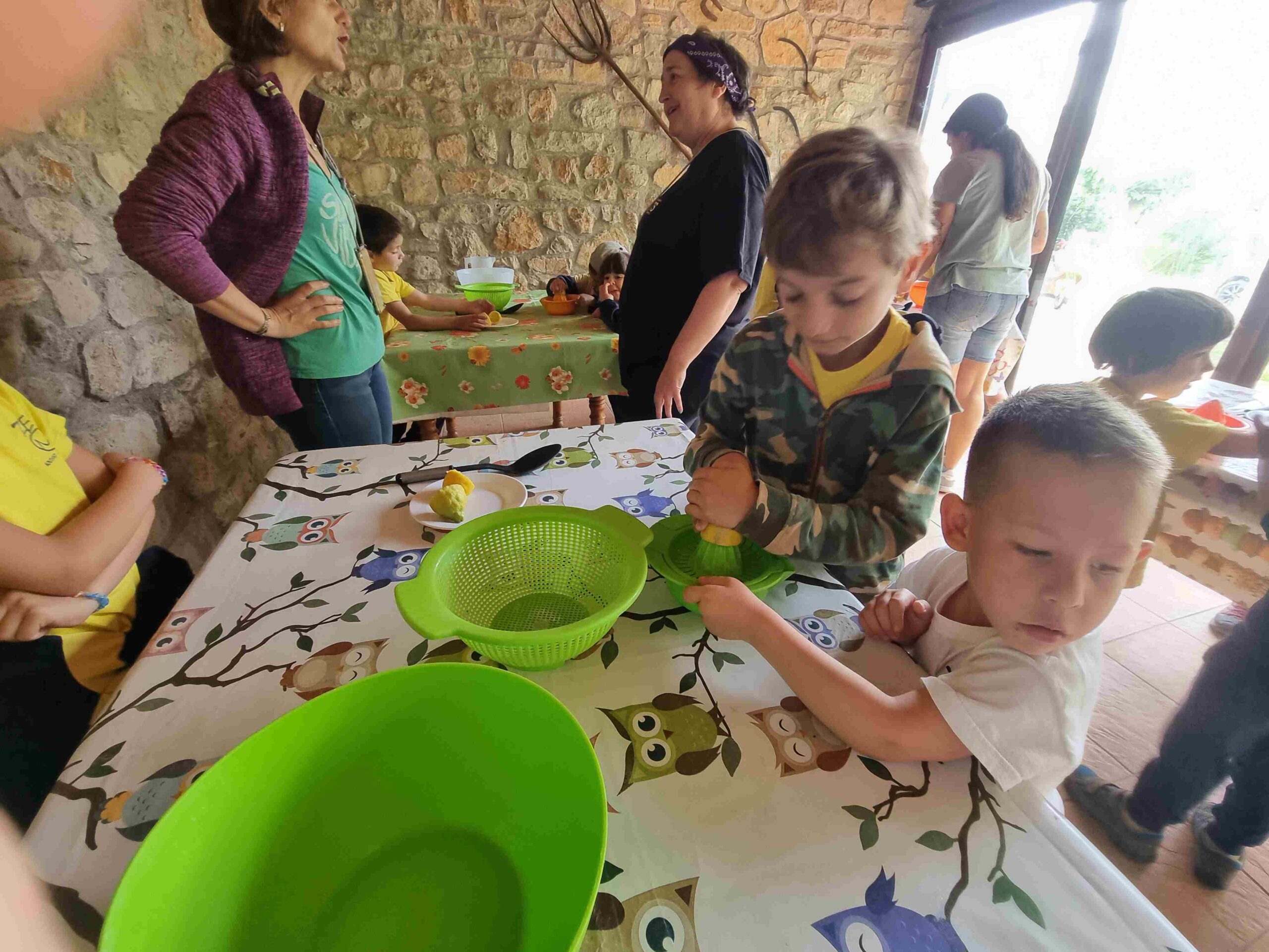 CAPAFONTS FORMATGE (31)