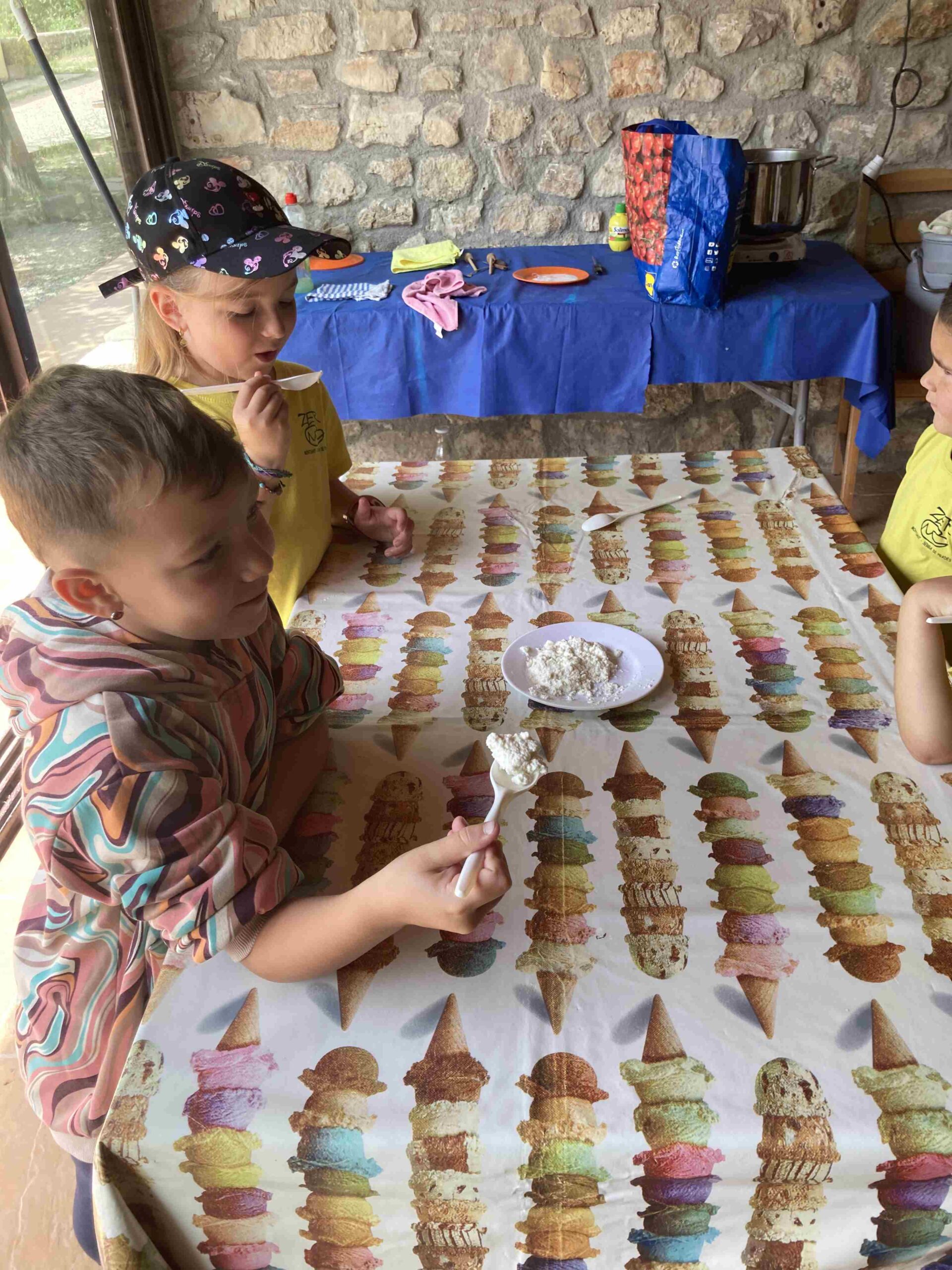 CAPAFONTS FORMATGE (38)