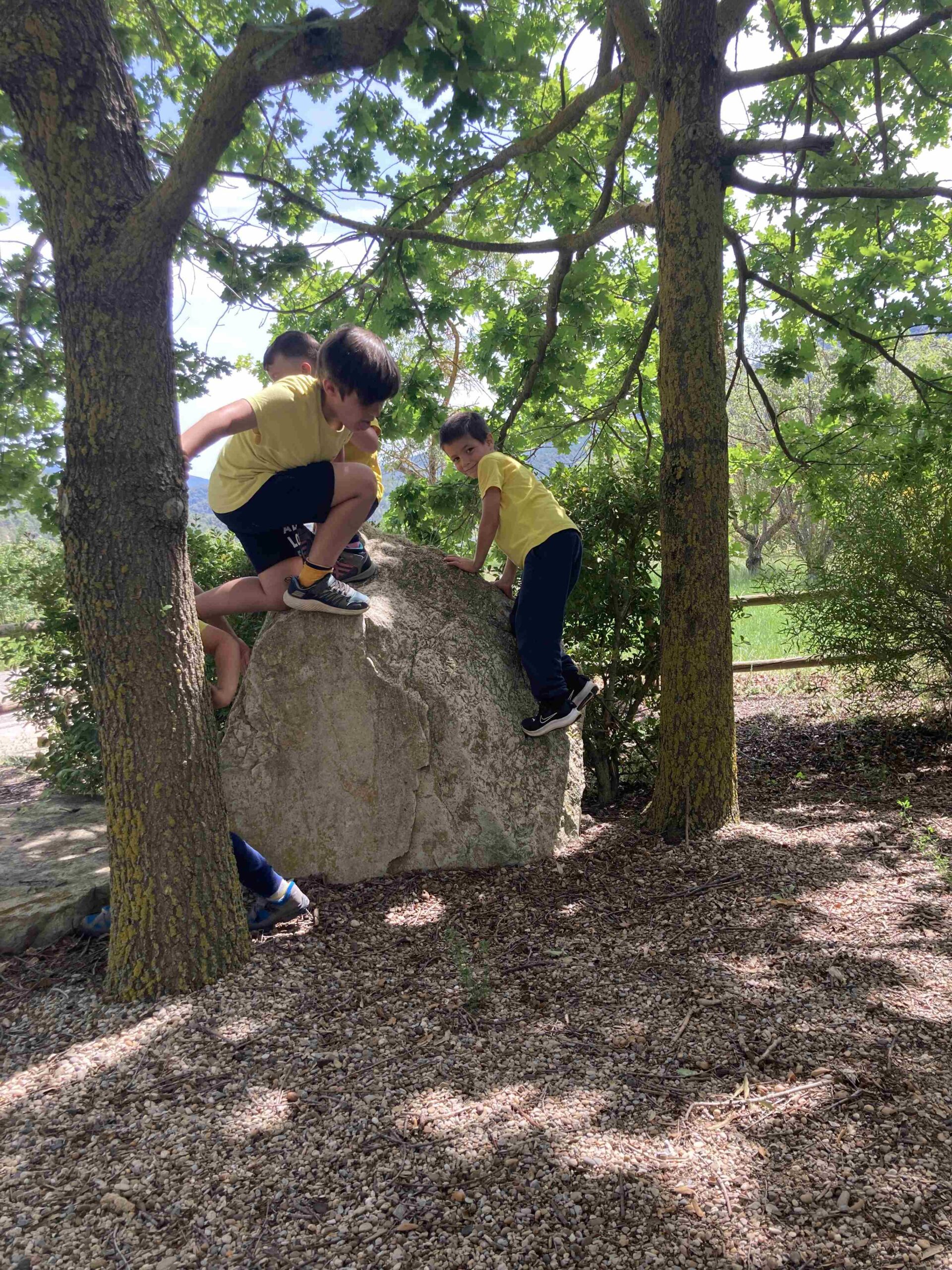 CAPAFONTS FORMATGE (41)