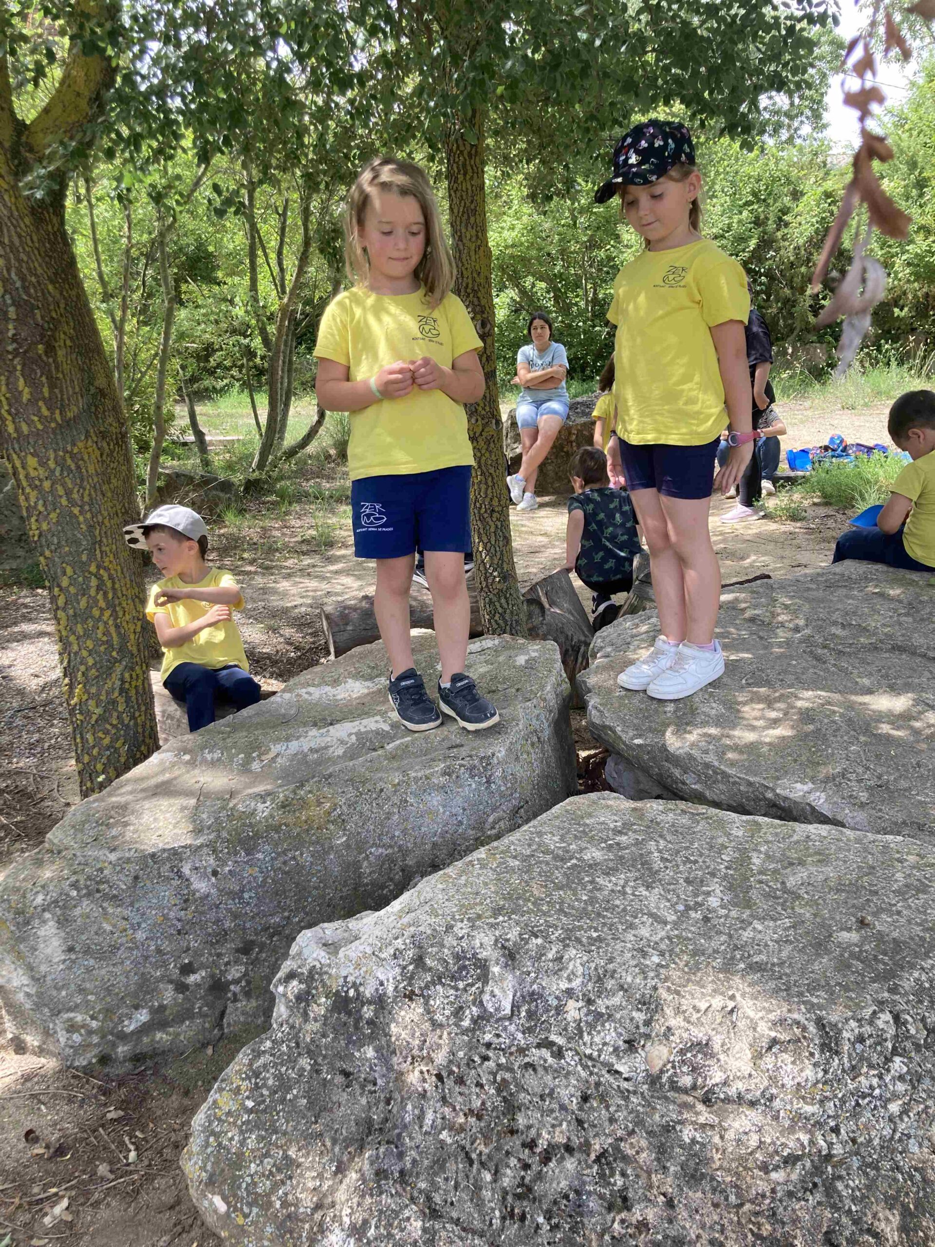 CAPAFONTS FORMATGE (44)