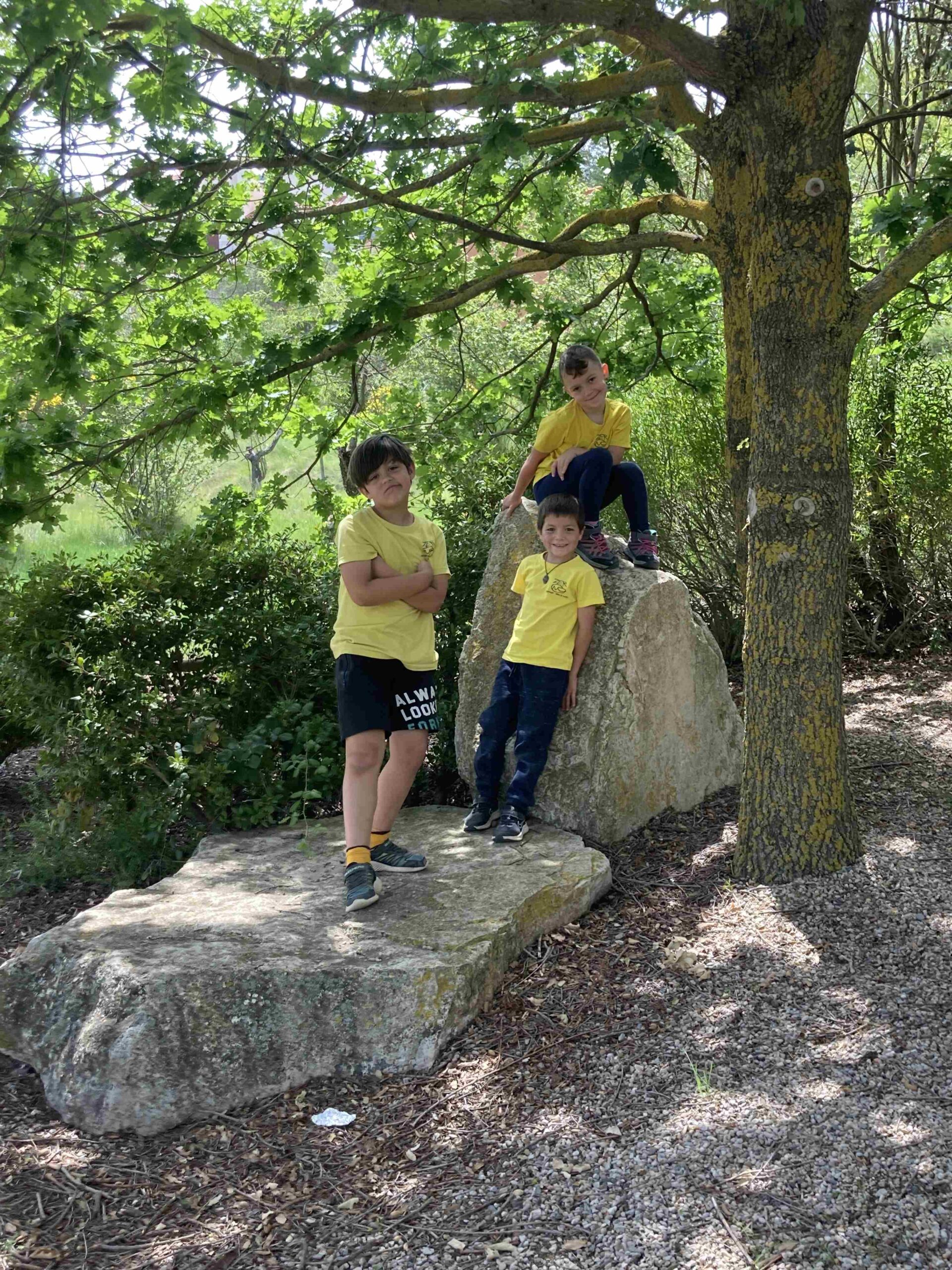 CAPAFONTS FORMATGE (45)