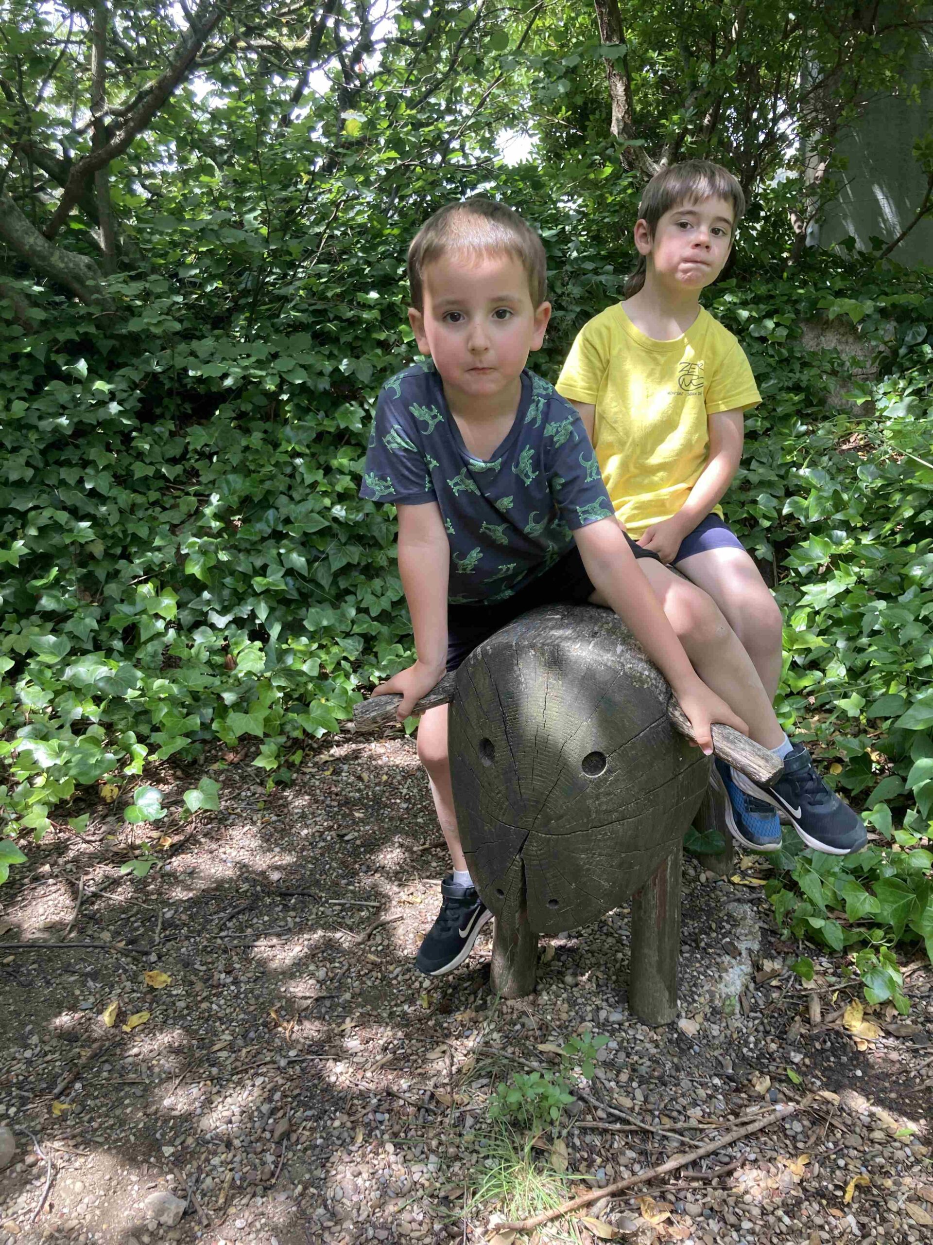 CAPAFONTS FORMATGE (49)