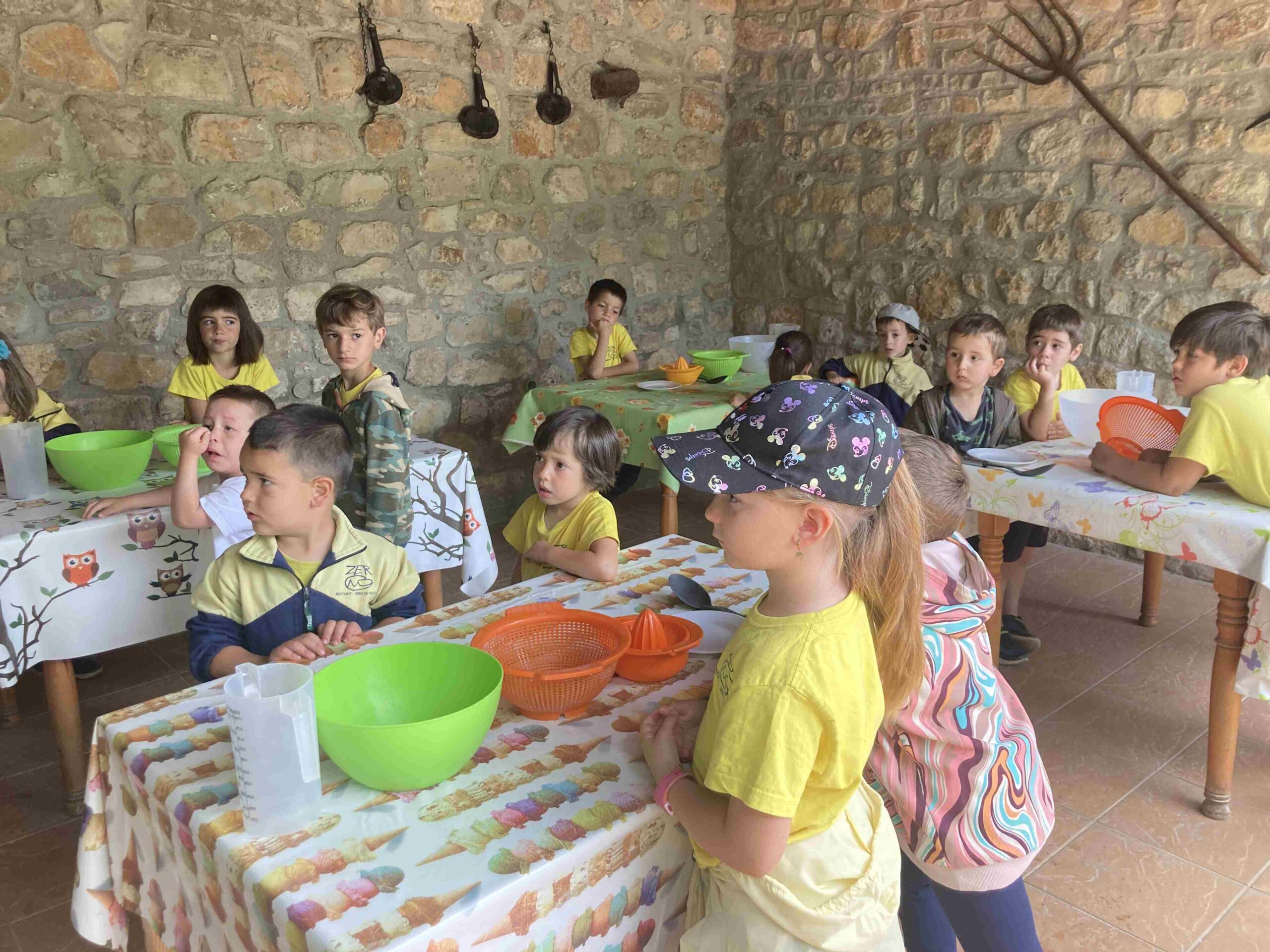 CAPAFONTS FORMATGE (50)