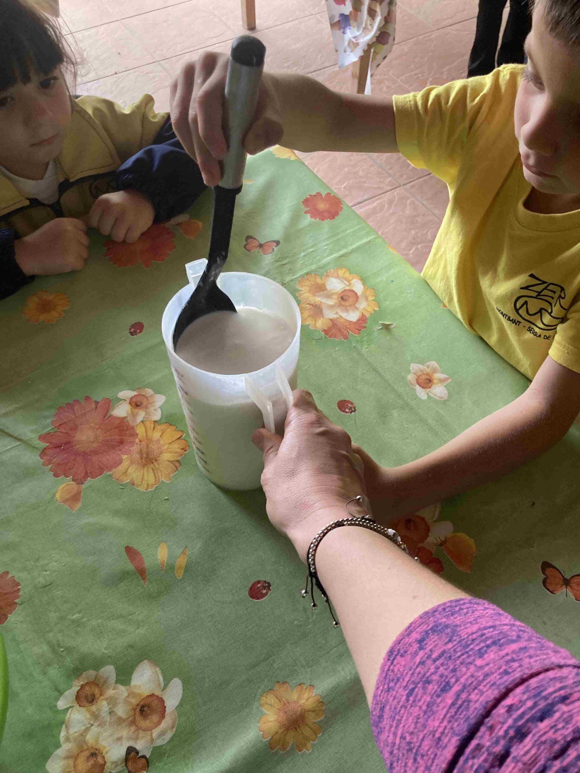 CAPAFONTS FORMATGE (55)