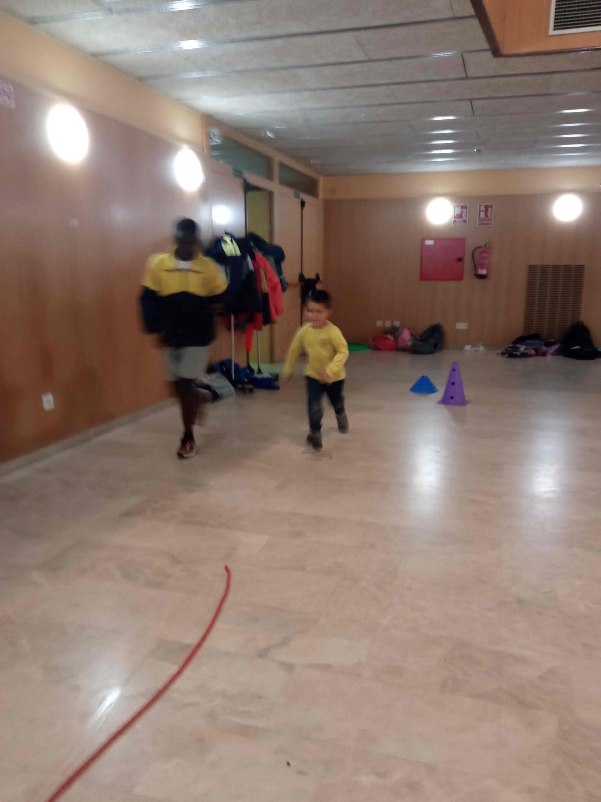 JOCS COOPERATIUS SET NATURA (1)