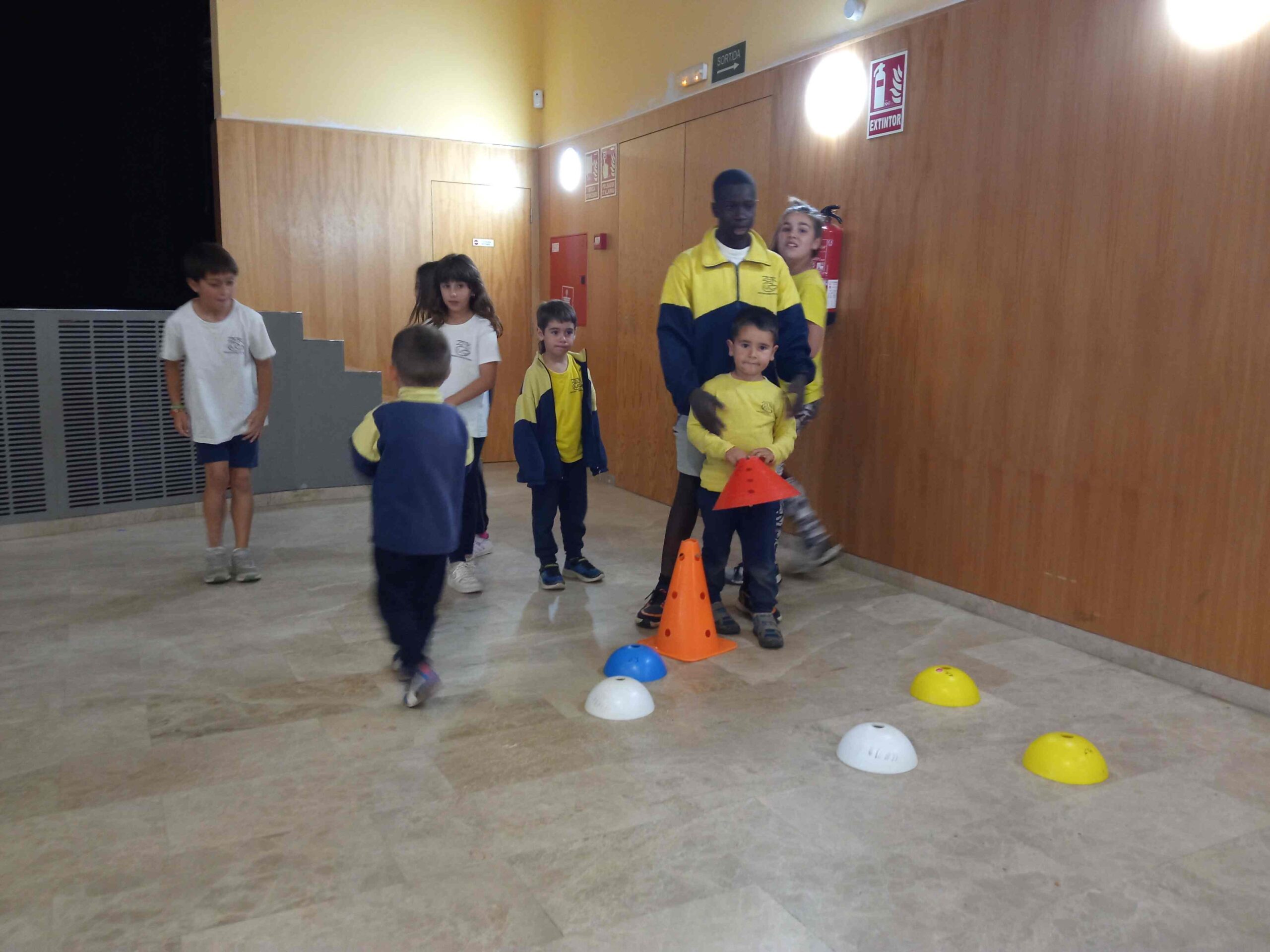 JOCS COOPERATIUS SET NATURA (8)