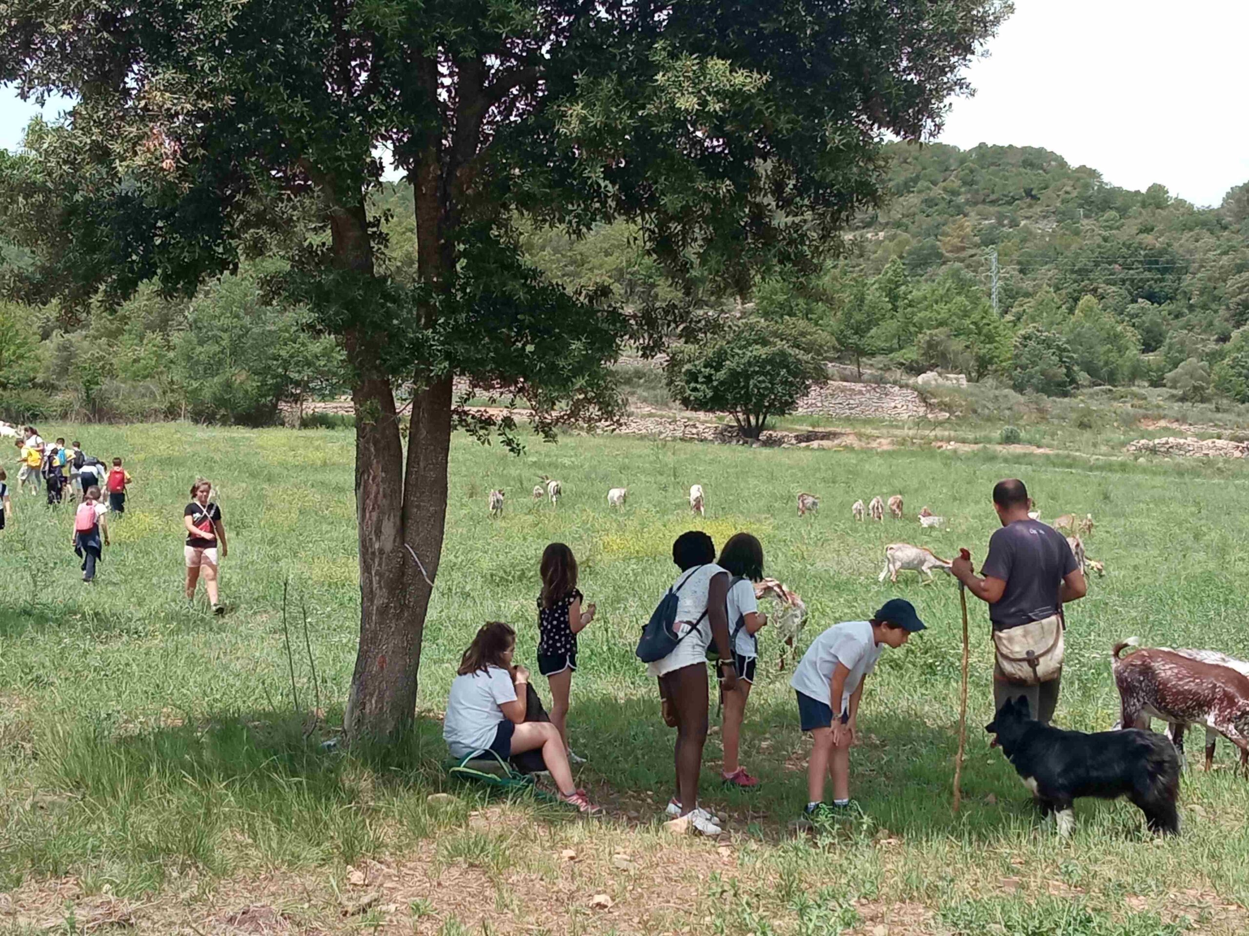 capafonts pastor (11)